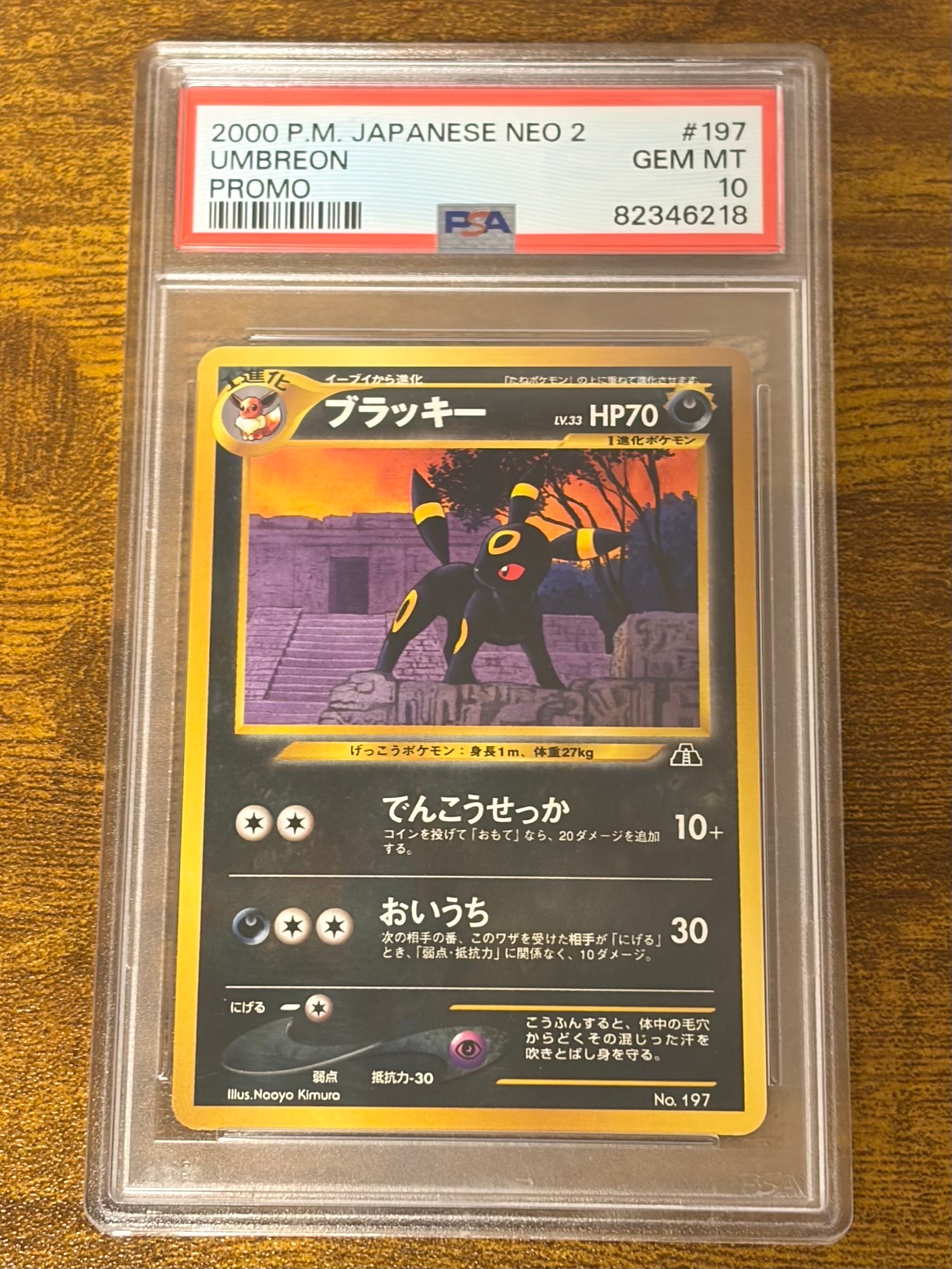 PSA10】ブラッキープレミアムファイル2: 旧裏[neoP2 No.197