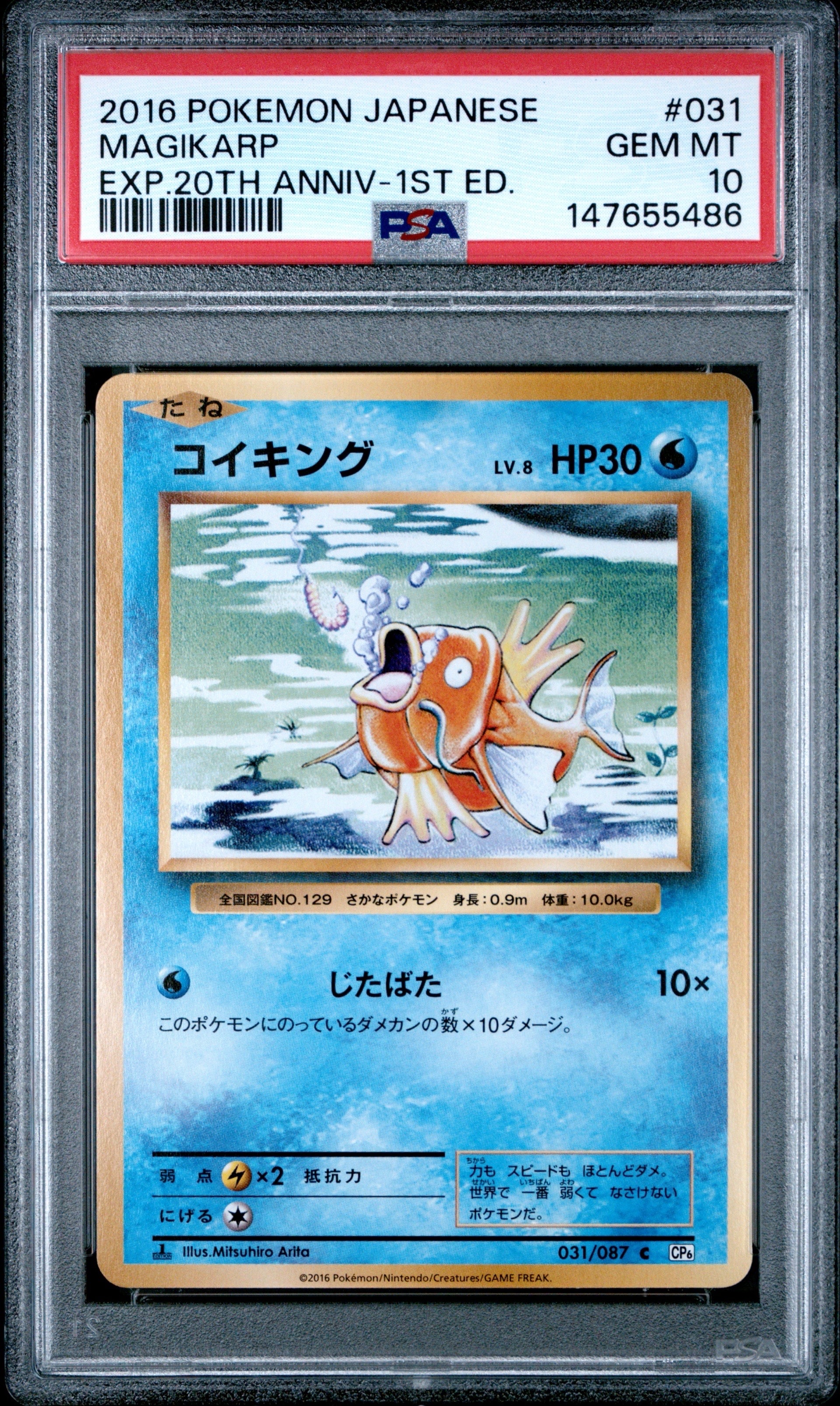 ジュカインEX SR [XY7 082/081](拡張パック「バンデットリング」)の