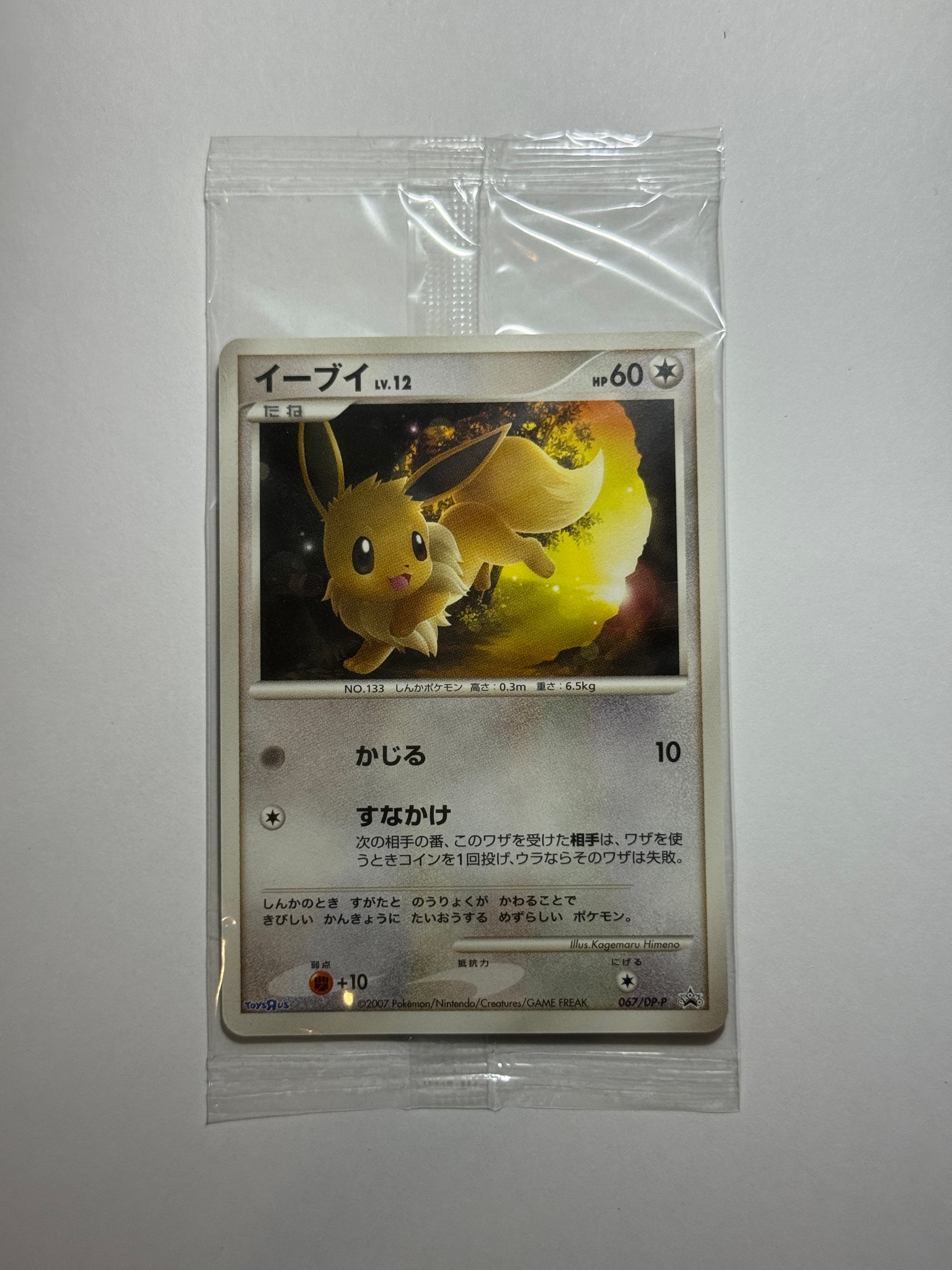 イーブイLV.12 [DP-P 067](プロモーションカード「トイザらスポケモンDEビンゴ キャンペーン 1ライン賞」)