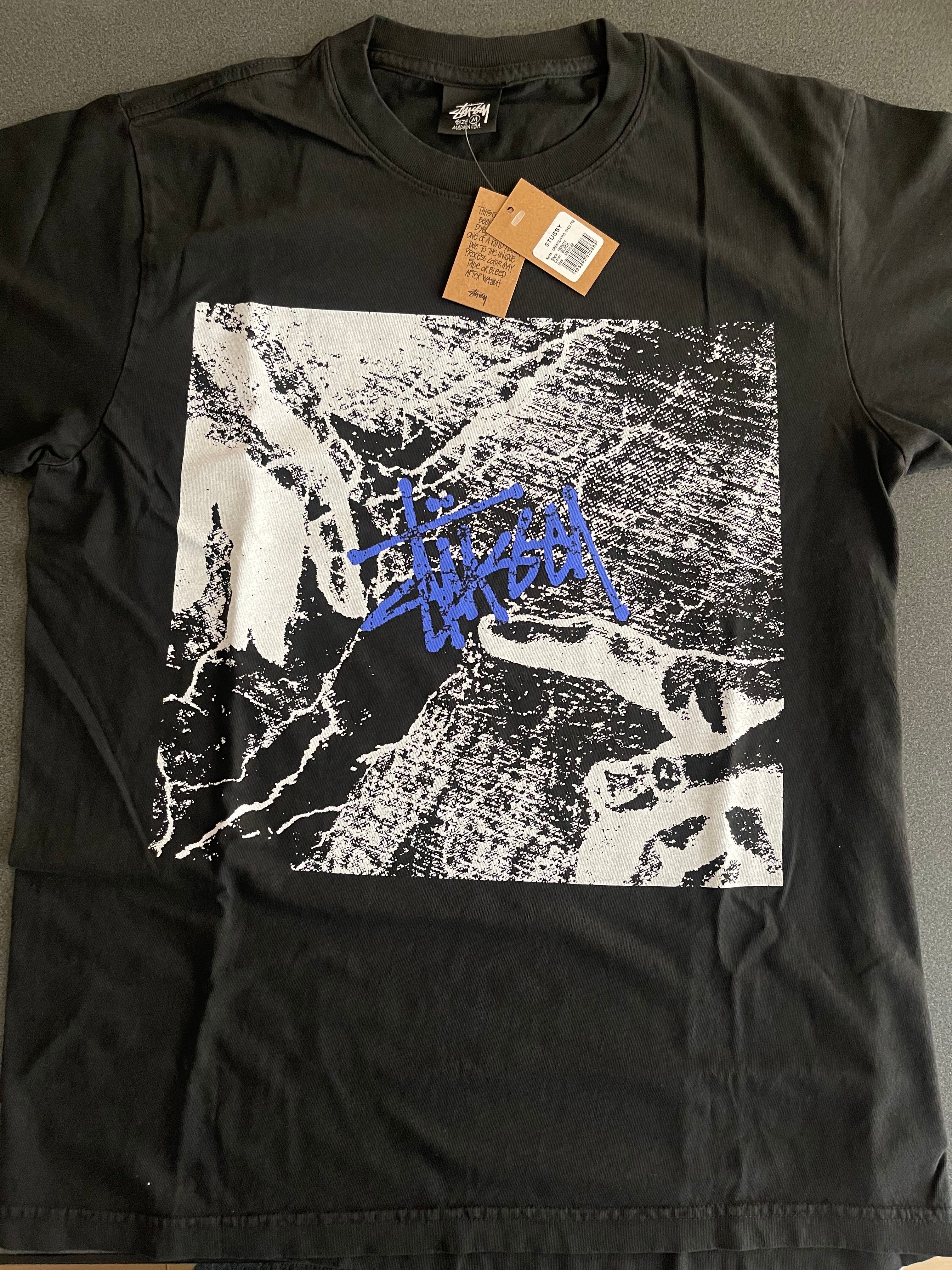 stussy CREATION PIG.DYED tee