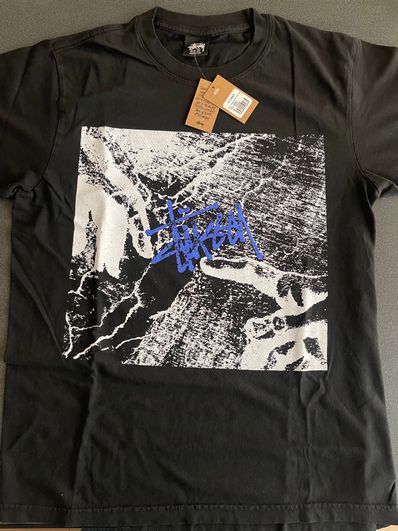 stussy CREATION PIG.DYED tee