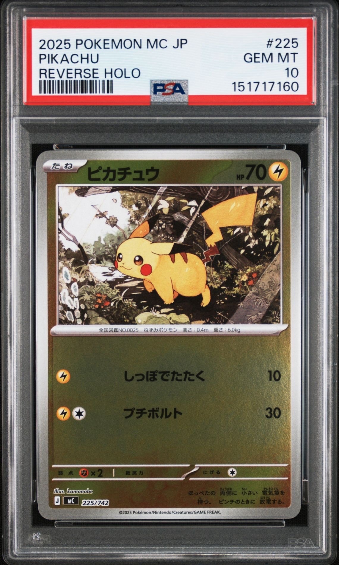 psa10 ピカチュウのおすすめアイテム（137ページ目） | 通販・相場は