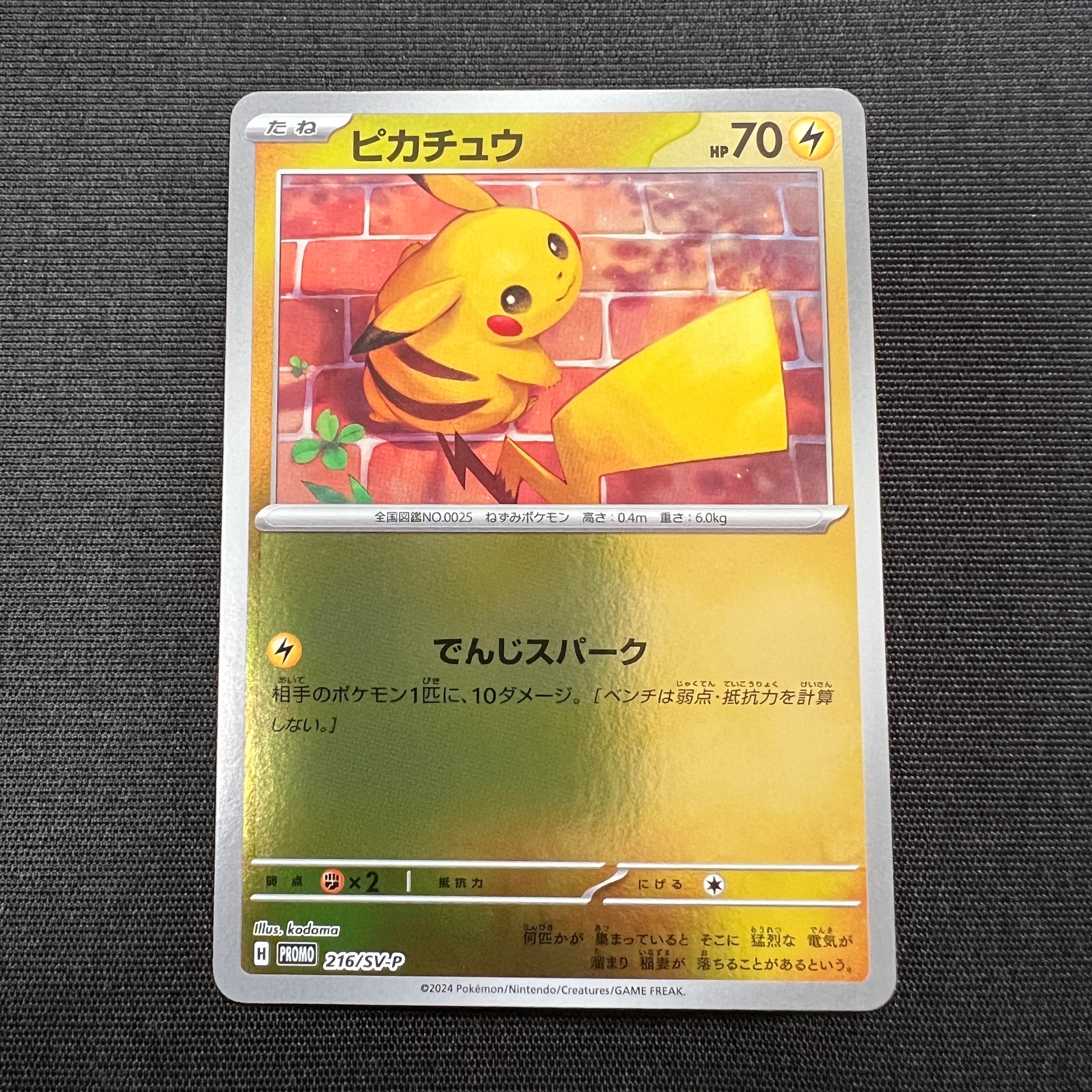 ピカチュウ P [SV-P 216](プロモカードパック「ポケカの夏がキタ!プロモカードGetキャンペーン!」)