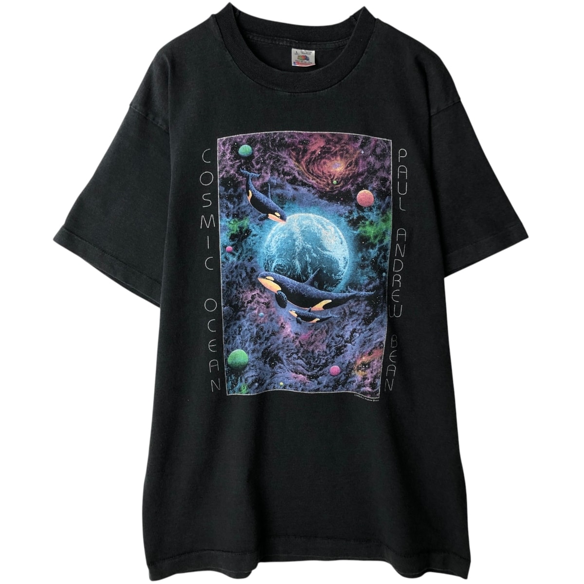 古着 フルーツオブザルーム FRUIT OF THE LOOM プリントTシャツ USA製 メンズL相当 ヴィンテージ/eaa639034