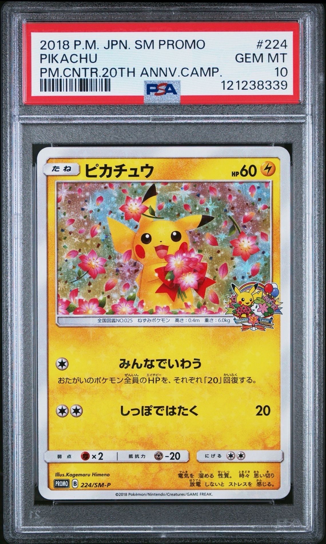 PSA10】ピカチュウ: プロモ[SM-P 224](プロモーションカード「SM-P