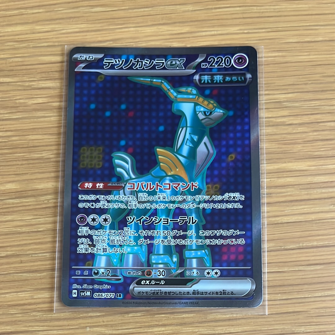 キモリ P [PCG-P 037](プロモーションカード「ポケモンセンター