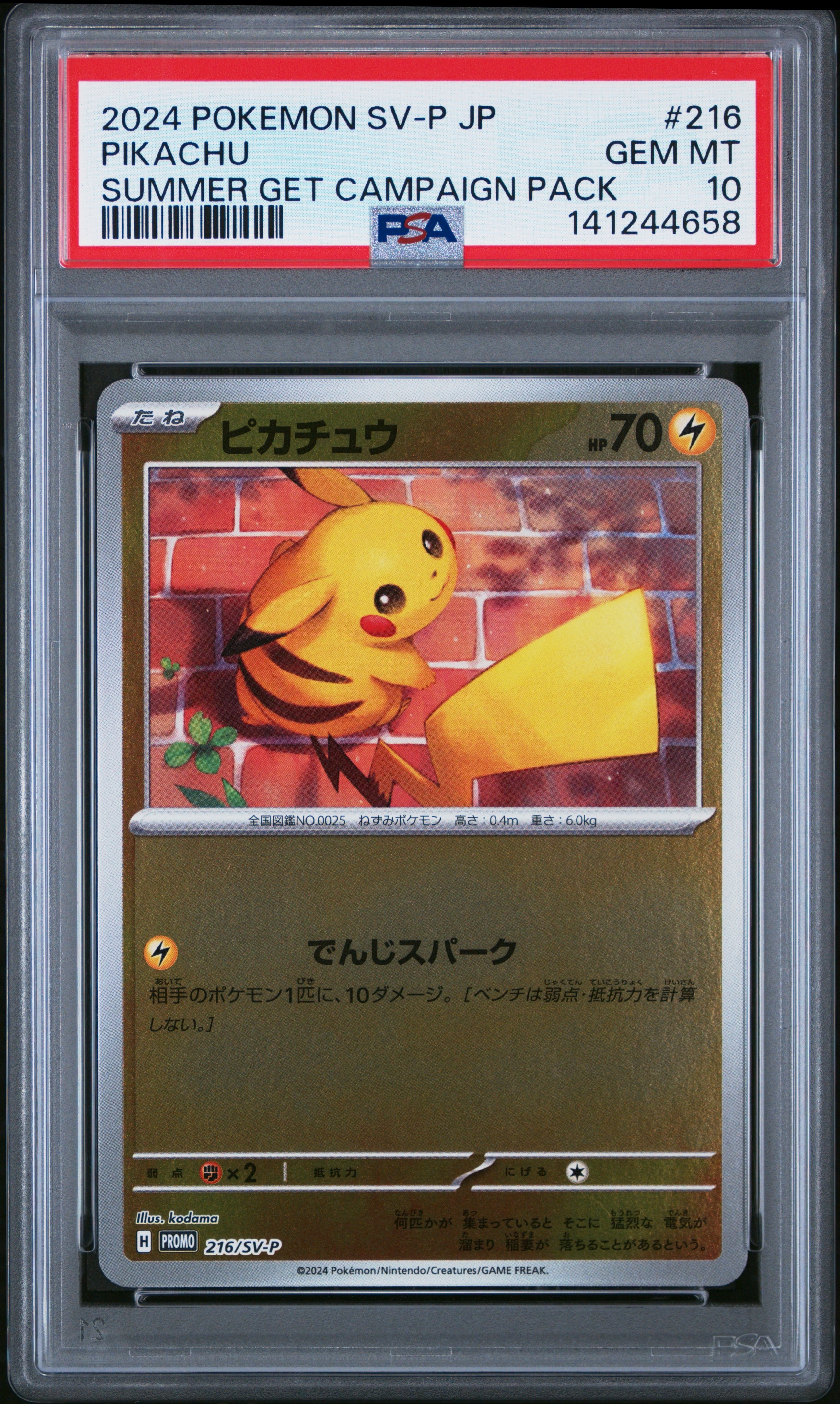 ピカチュウ P [SV-P 216](プロモカードパック「ポケカの夏がキタ!プロモカードGetキャンペーン!」)