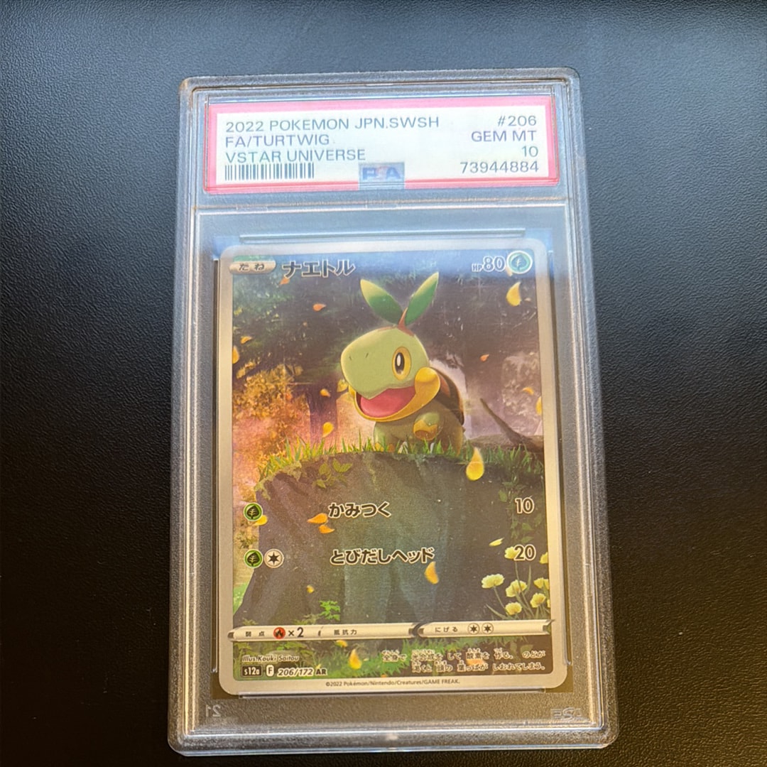 PSA10！ナエトル AR S12a VSTARユニバース 206/172 ポケモンカードゲーム S12a 206/172 ナエトル 草 (AR アートレア) ハイ