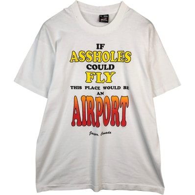 古着 90年代 フルーツオブザルーム FRUIT OF THE LOOM メッセージプリントTシャツ USA製 メンズXL相当 ヴィンテージ/eaa636044