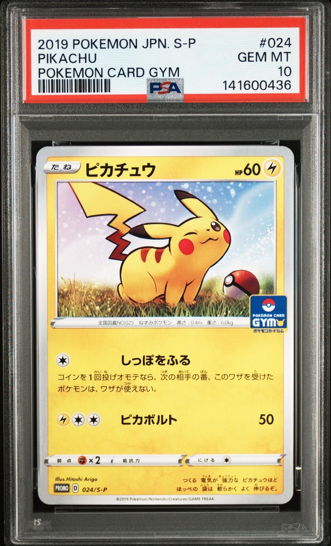 ピカチュウ: プロモ P [S-P 024](ポケモンカードゲーム ソード&シールド 「プロモカードパック 第1弾」)