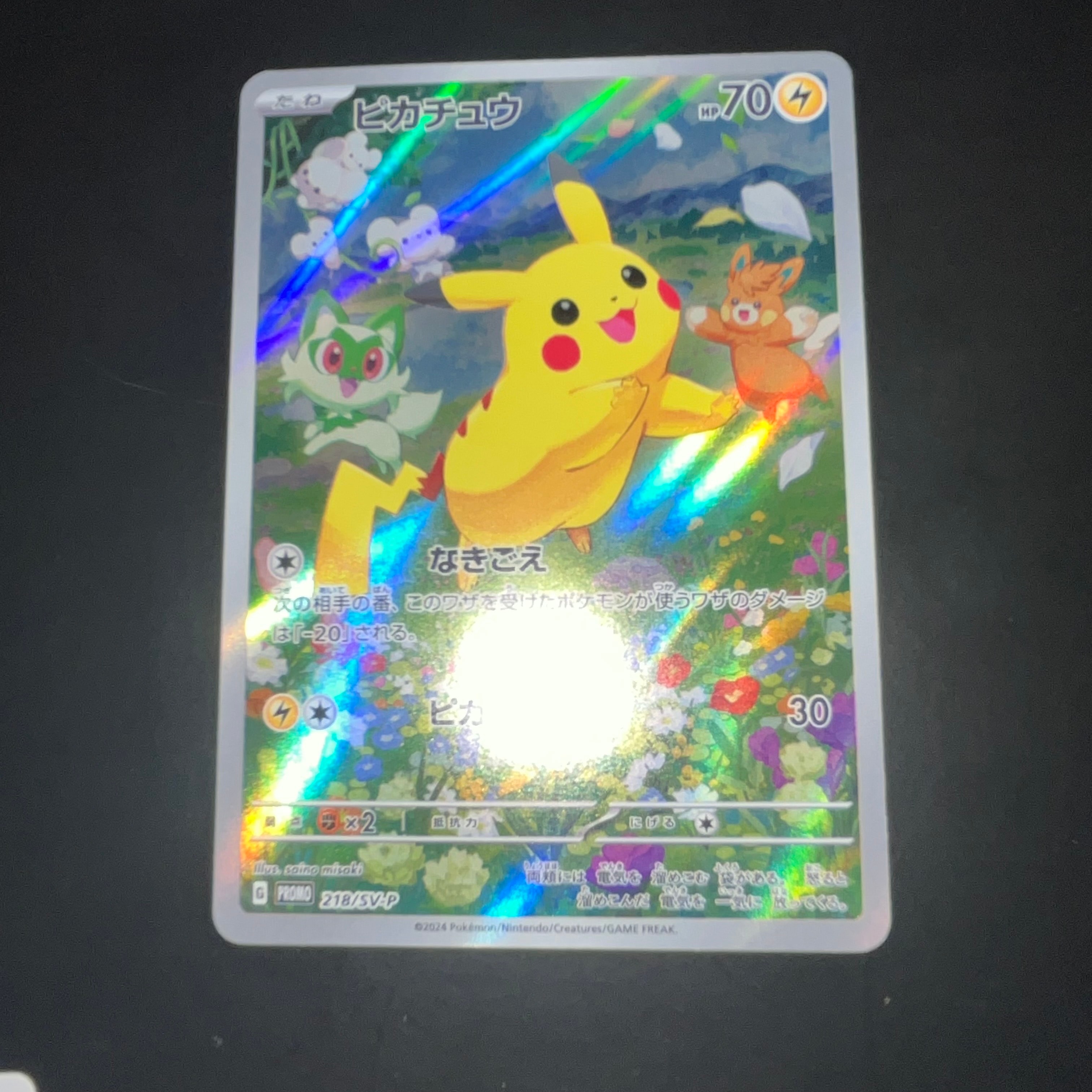 ポケカの夏がきた！プロモカード　ピカチュウ【PSA10】 PSA10 ピカチュウ 216/SV-P ポケカの夏がキタ プロモカード 662｜Yahoo