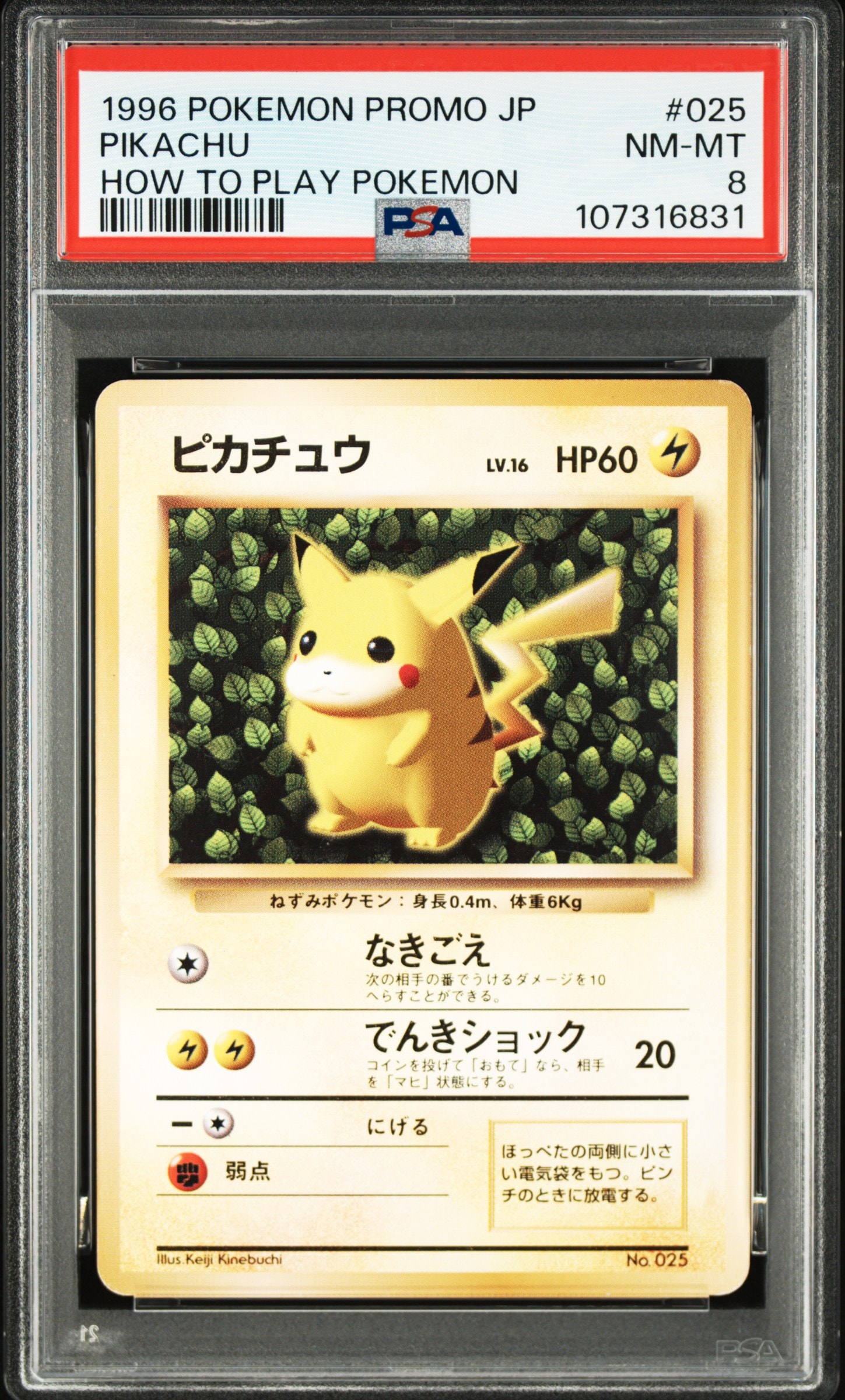 ピカチュウ P : 旧裏 (※ 光沢なし) [PMCG-P No.025](プロモーションカード「すぐわかるポケモンカードの遊びかた」)