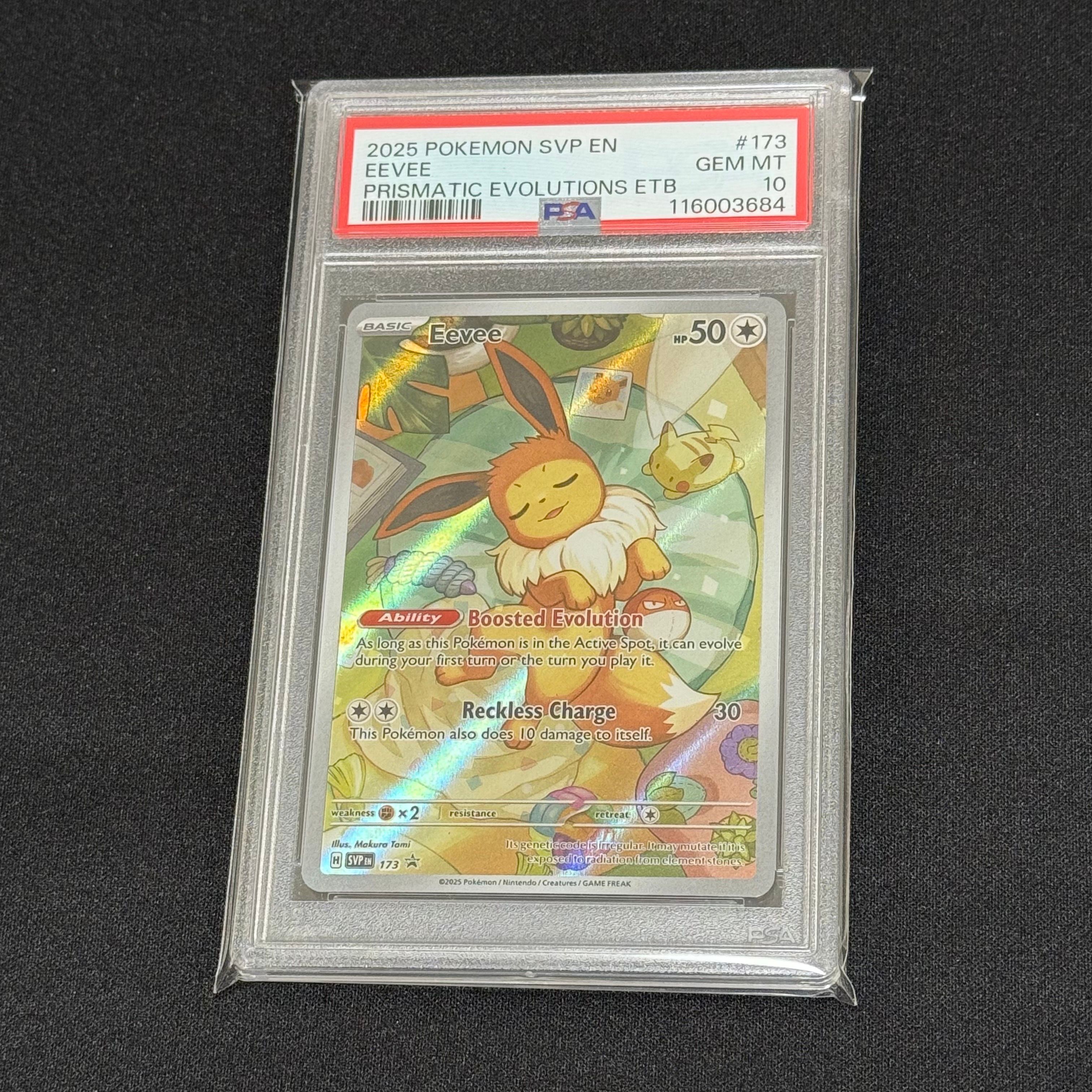 イーブイ P [SVP EN 173]【英語版】(スカーレット&バイオレット「プリズマティックエボリューションズ エリートトレーナボックス」)