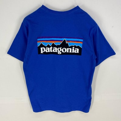 古着 パタゴニア patagonia 半袖Tシャツ クルーネック ショートスリーブ ロゴ アウトドア S ブルー系 バックプリント メンズ