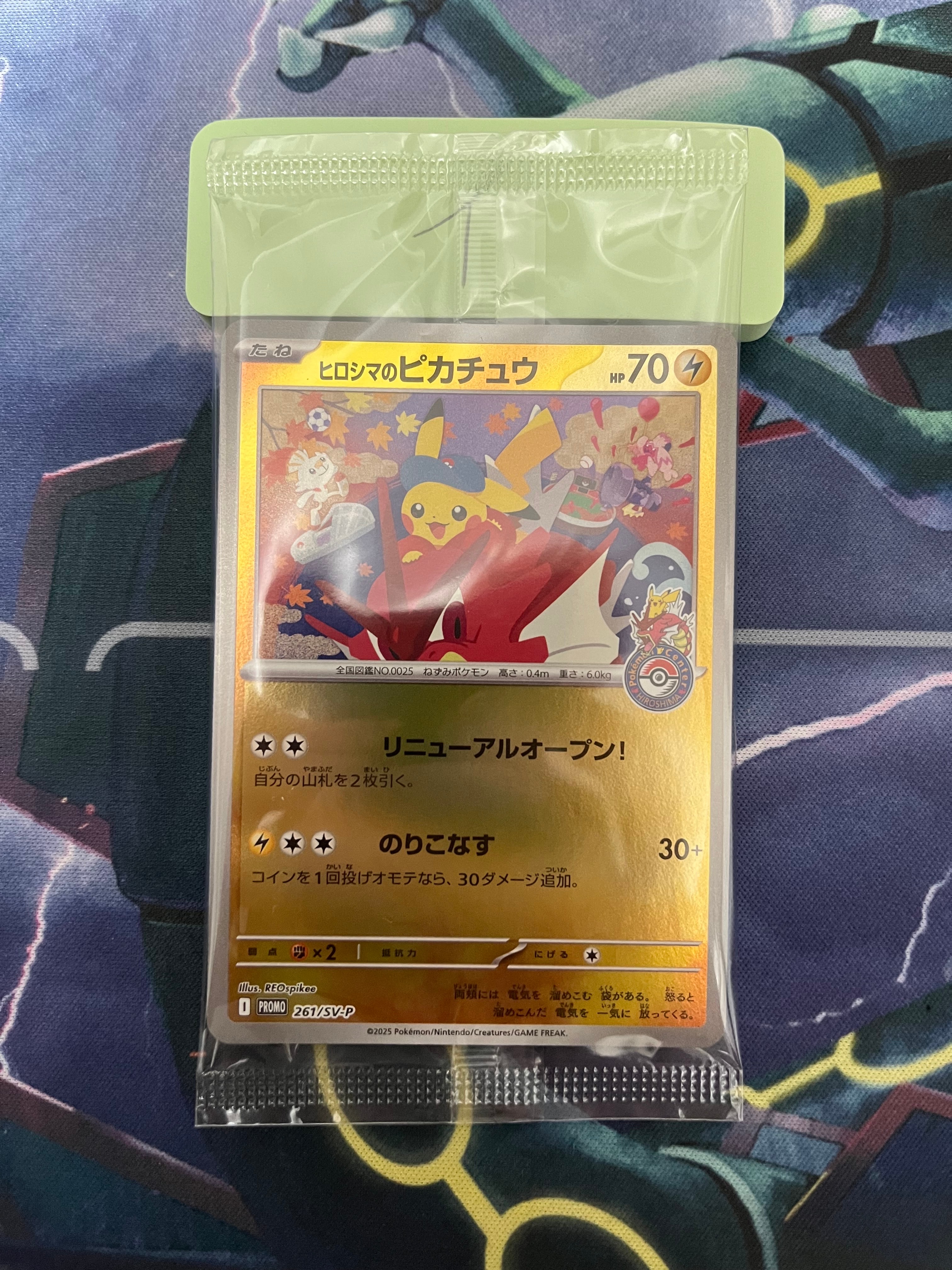 センパイとコウハイ SR :1ED [XY5-G 077/070](拡張パック「ガイア