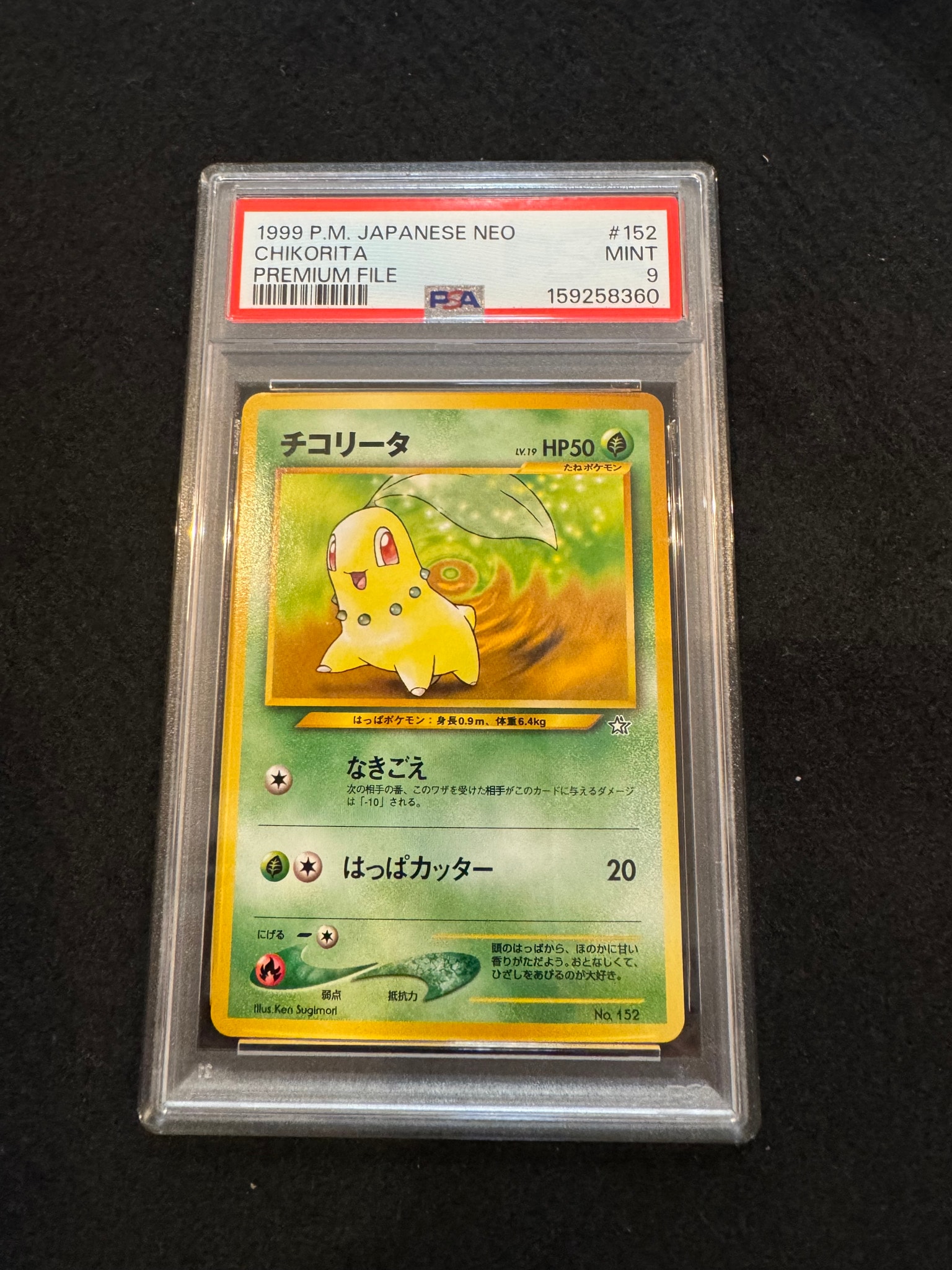 チコリータ : 旧裏 [PRMF-1 No.152](ポケモンカード★neo「プレミアムファイル」)