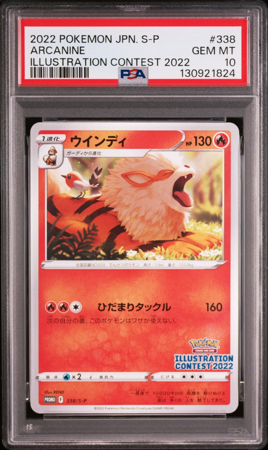 ウインディ プロモ[PROMO338 S-P](プロモーションカード「ポケモンセンター・ポケモンストア・ポケモンセンターオンライン2000円以上購入特典」)