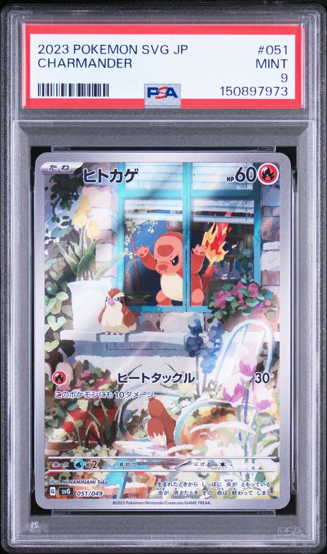 ヒトカゲ :フルイラスト [SVG 051/049](スペシャルデッキセットex「フシギバナ・リザードン・カメックス」)