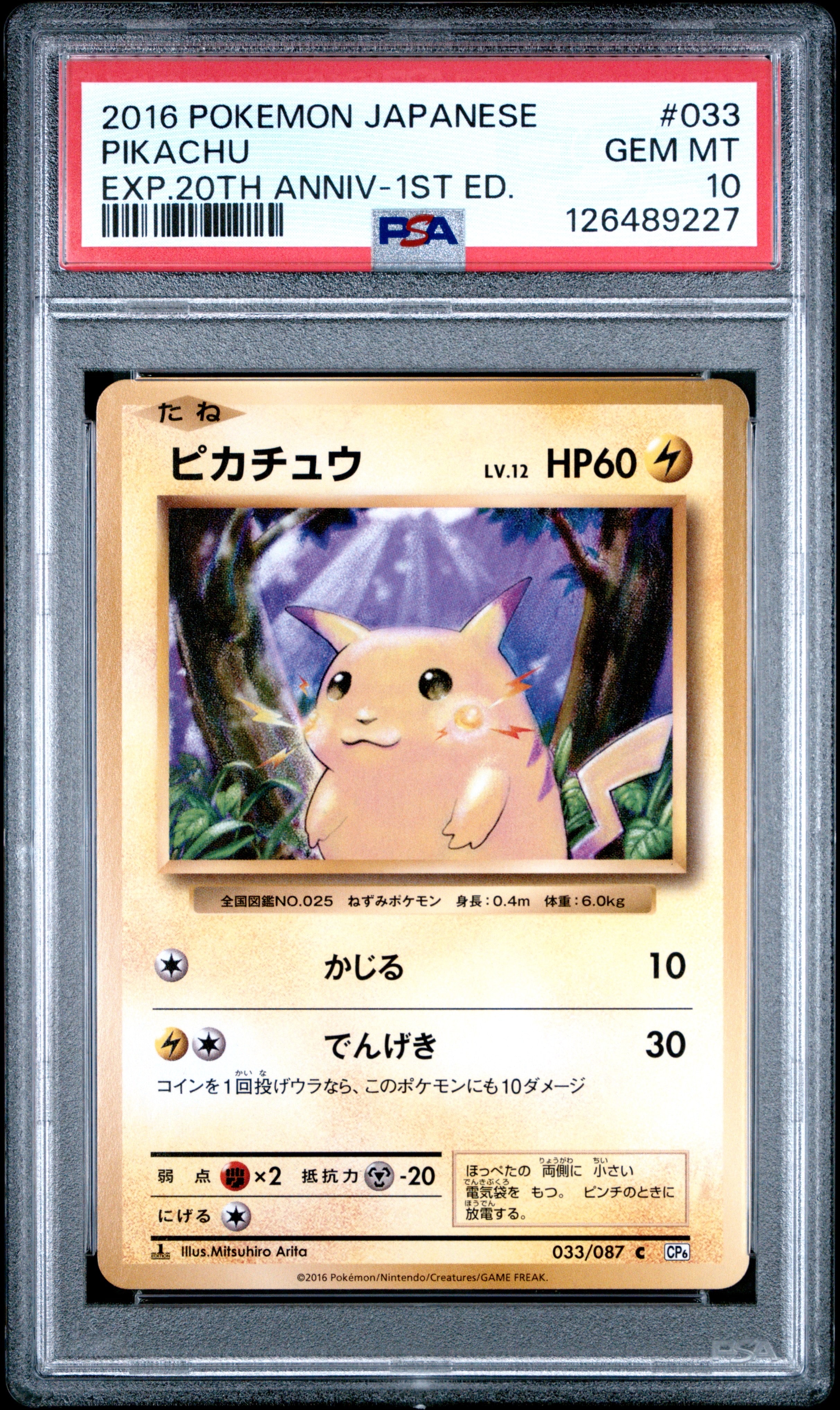 ピカチュウ C :1ED [CP6 033/087](コンセプトパック「ポケットモンスターカードゲーム 拡張パック 20th Anniversary」)