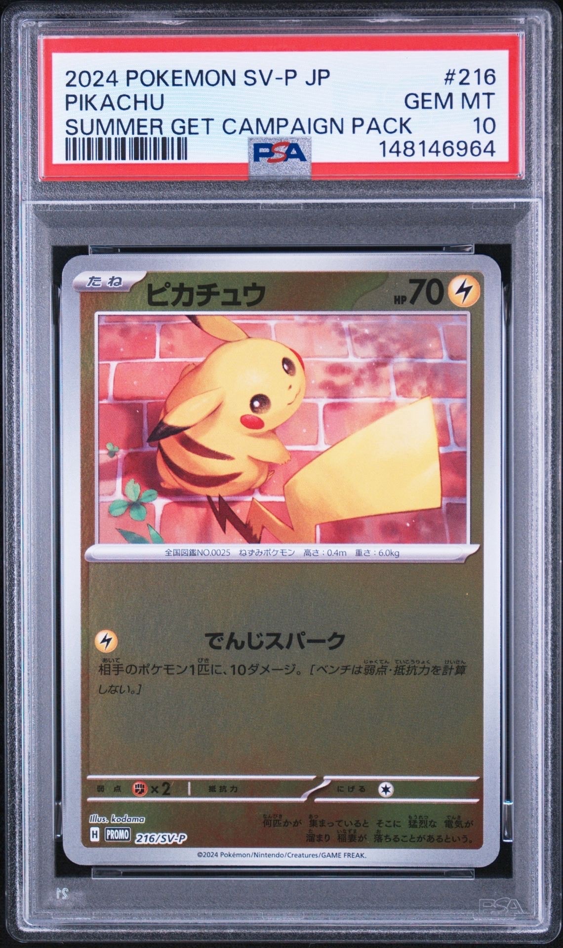 ピカチュウ P [SV-P 216](プロモカードパック「ポケカの夏がキタ