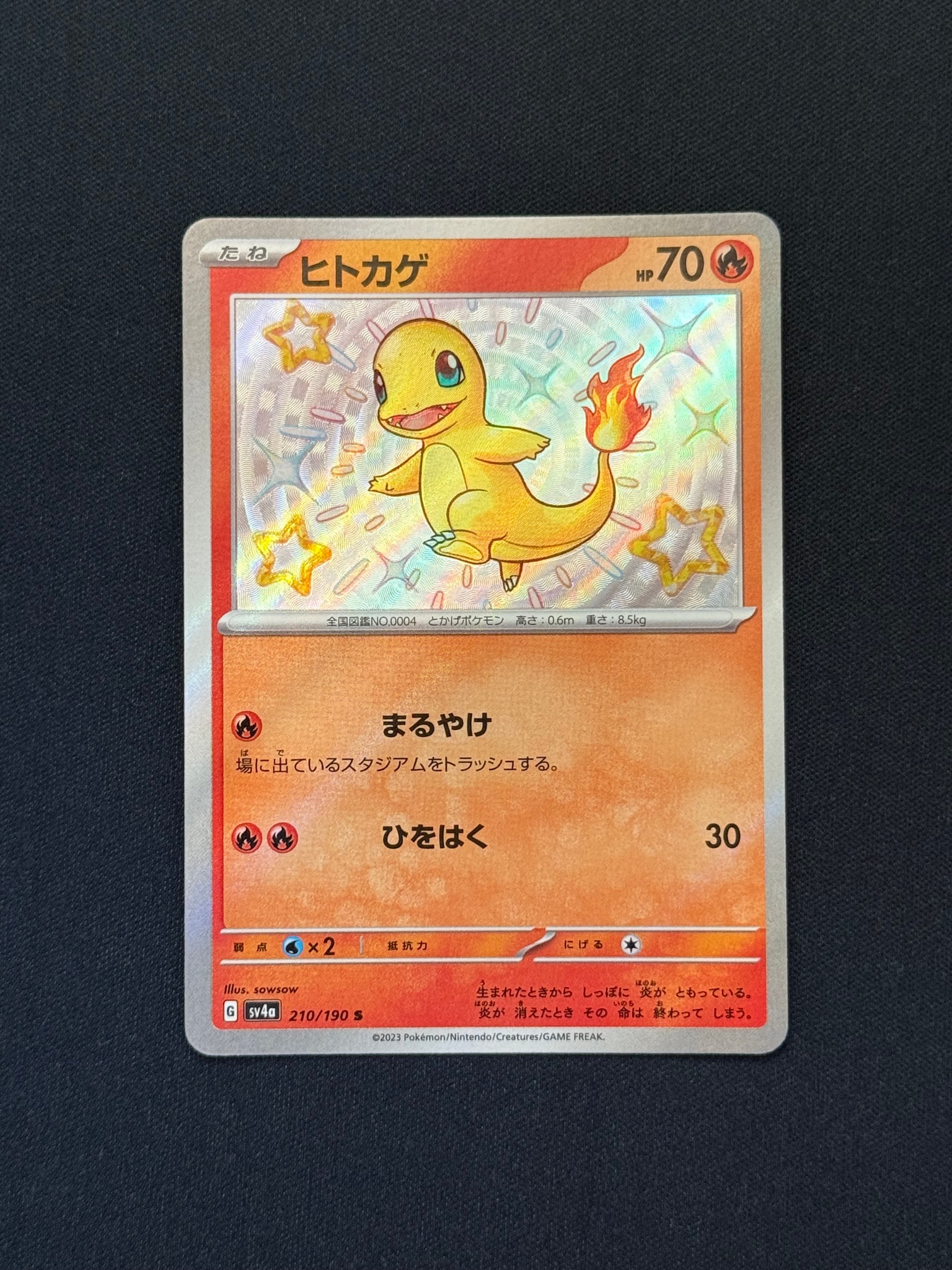 PSA10】トウホクのピカチュウ P [SV-P 260](スペシャルBOX「ポケモン