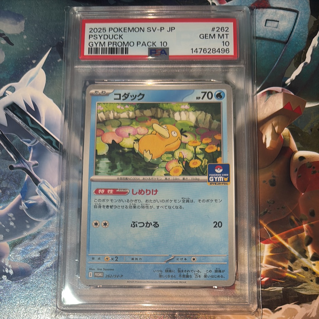 PSA10】コダック P [SV-P 262](プロモカードパック「第10弾」) 1枚の