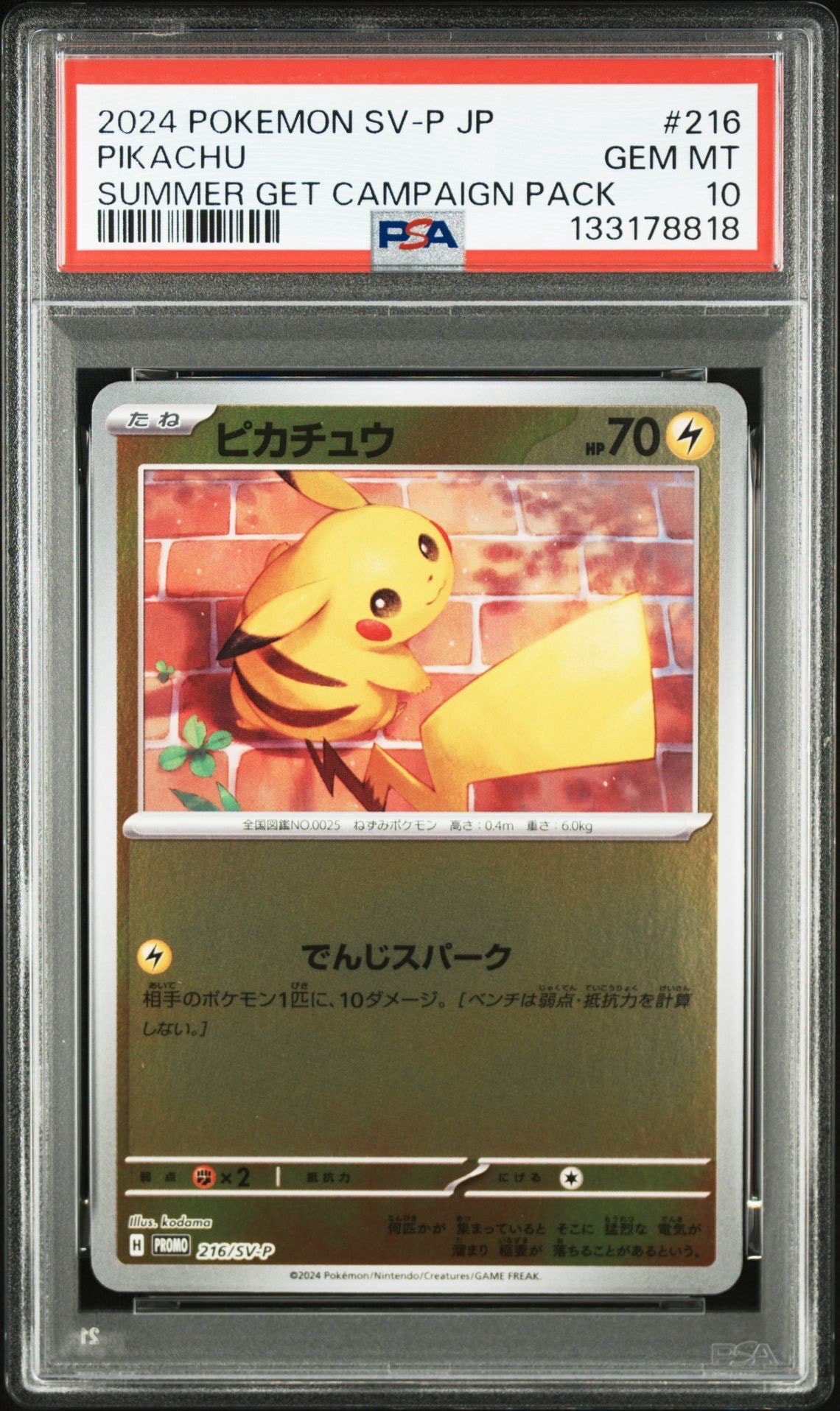 ピカチュウ P [SV-P 216](プロモカードパック「ポケカの夏がキタ!プロモカードGetキャンペーン!」)
