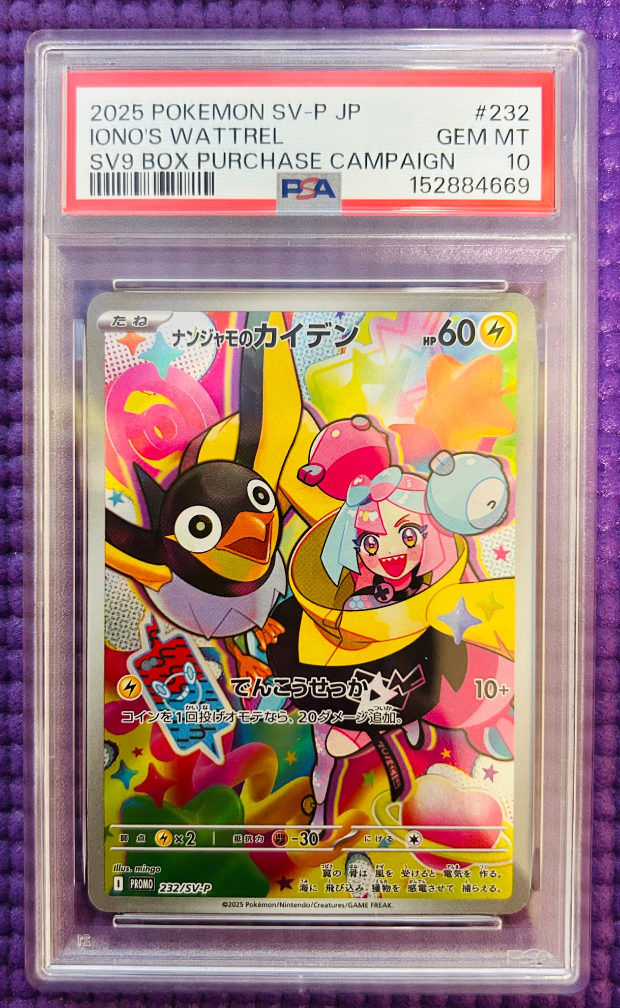 PSA10】ブラッキー: プロモ (ナガバブラッキー) [SV-P 067](「YU