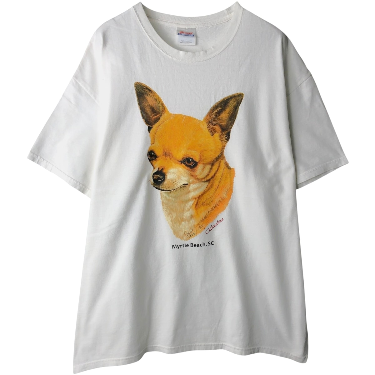 古着 00年代 ヘインズ Hanes HEAVYWEIGHT 犬柄 アニマル柄 アニマルTシャツ メンズXL相当/eaa641729