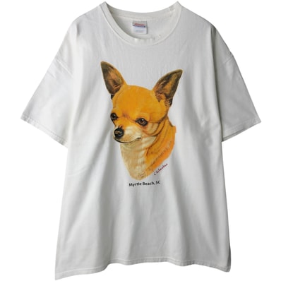 古着 00年代 ヘインズ Hanes HEAVYWEIGHT 犬柄 アニマル柄 アニマルTシャツ メンズXL相当/eaa641729