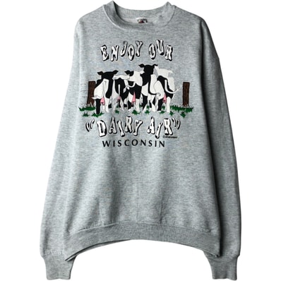 古着 90年代 フルーツオブザルーム FRUIT OF THE LOOM プリントスウェットシャツ トレーナー USA製 メンズXL相当 ヴィンテージ/eaa629857