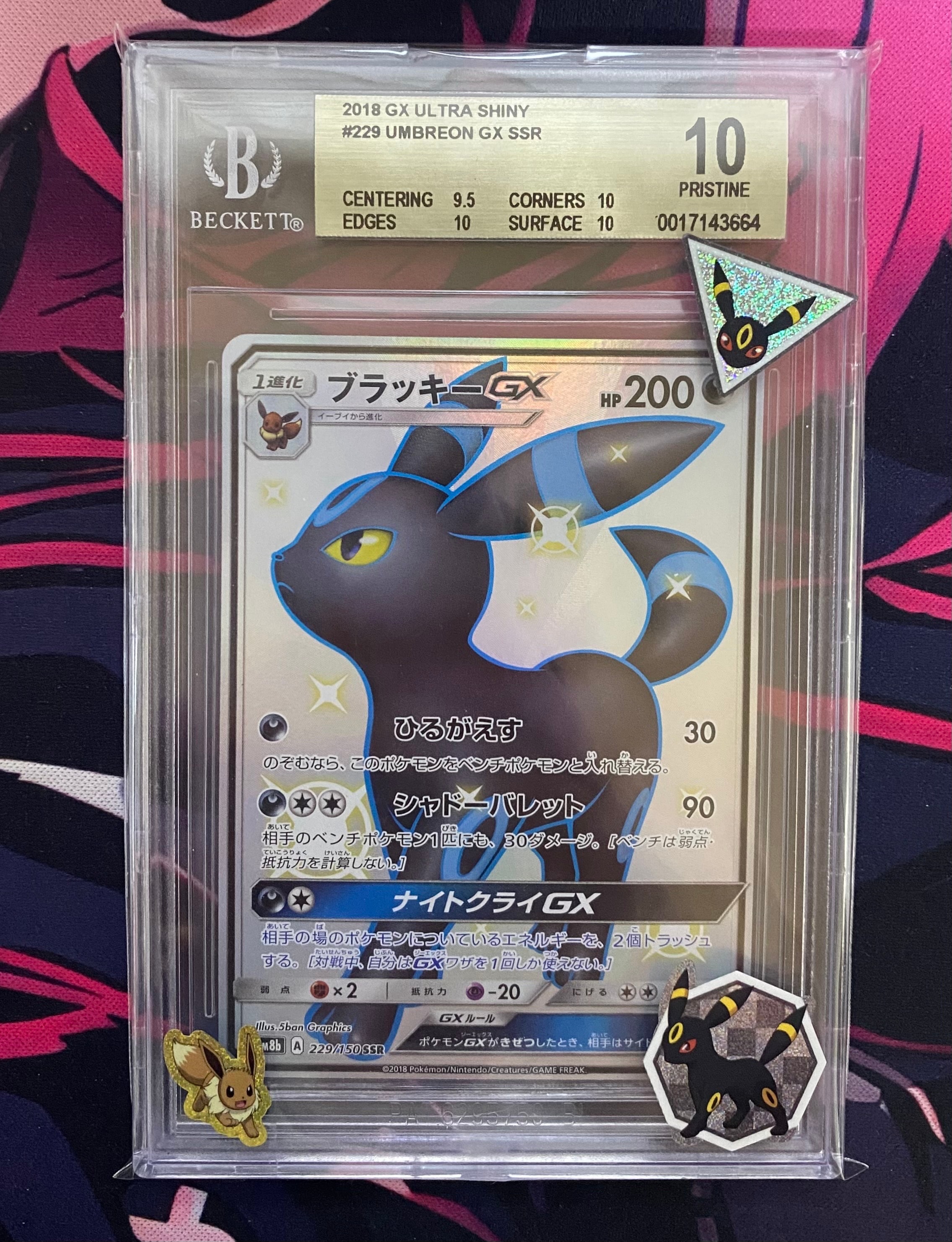 PSA10】ブラッキーGX SSR[SM8b 229/150](ハイクラスパック「GXウルトラ
