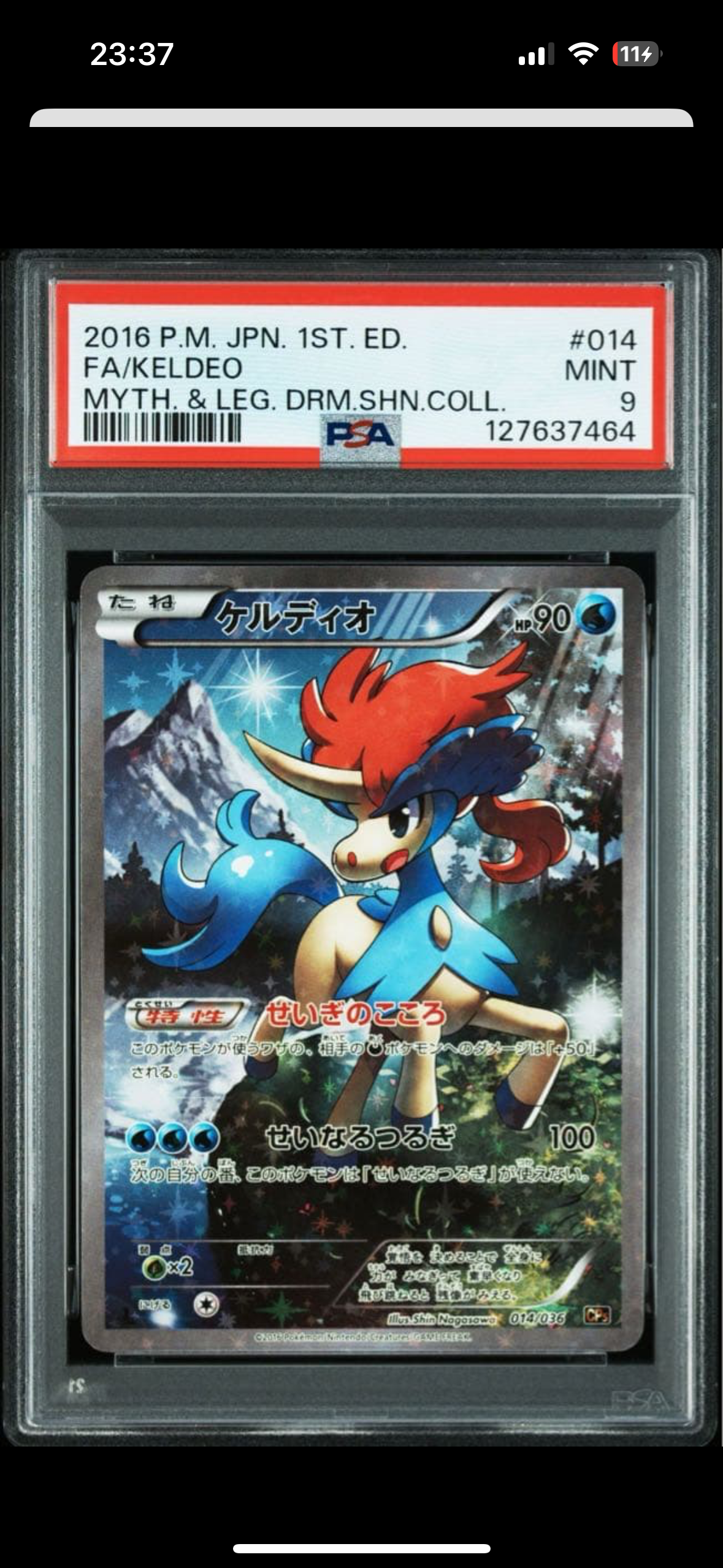 ケルディオ :1ED [CP5 014/036](コンセプトパック 「幻・伝説ドリーム