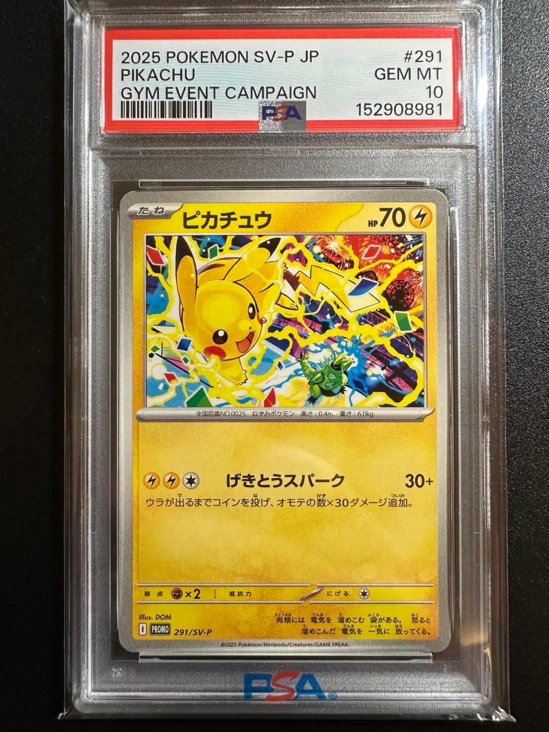 ピカチュウ P [SV-P 291](プロモーションカード「SV-P」)の新品/中古