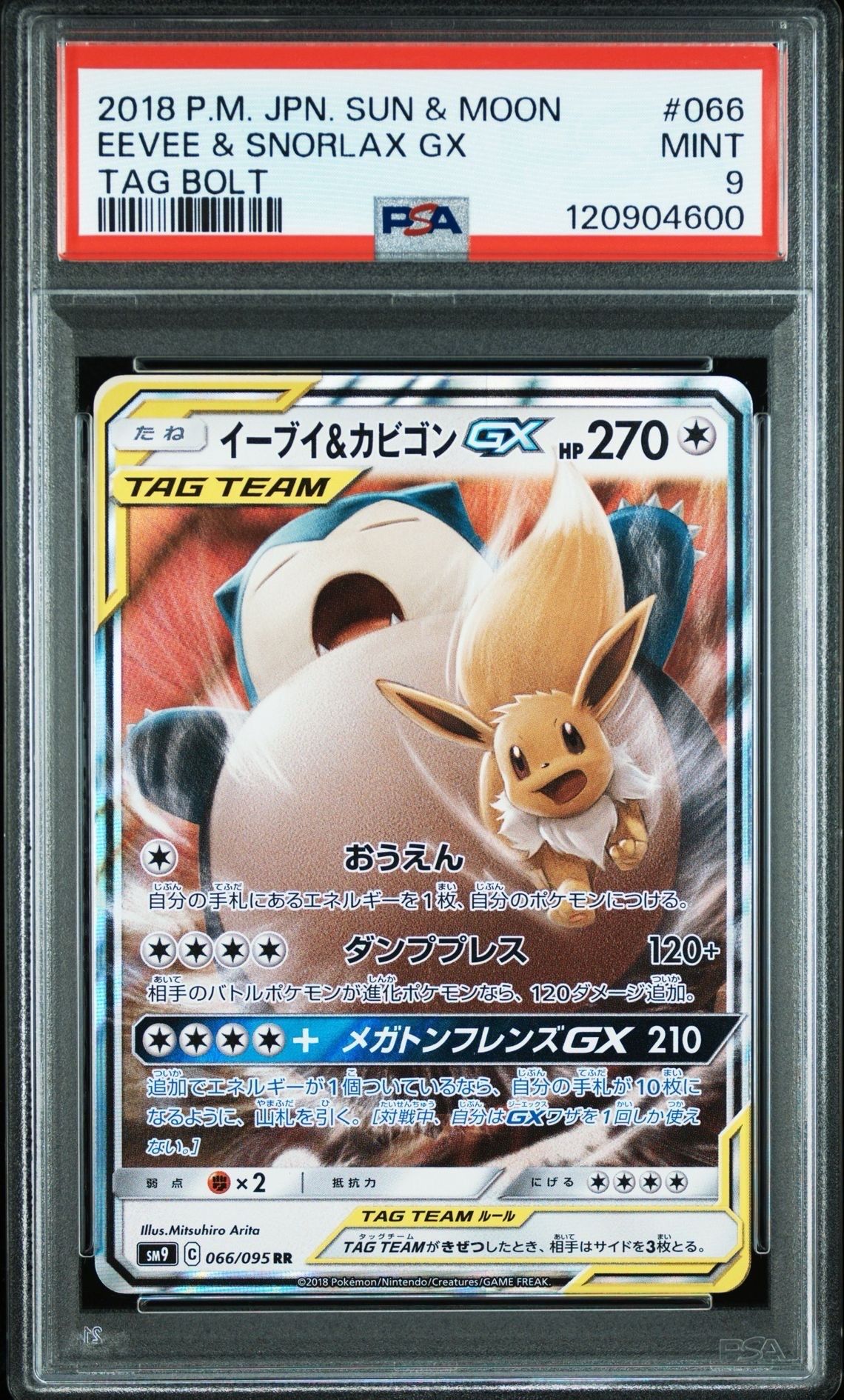 イーブイ&カビゴンGX RR [SM9 066/095](拡張パック「タッグボルト」)