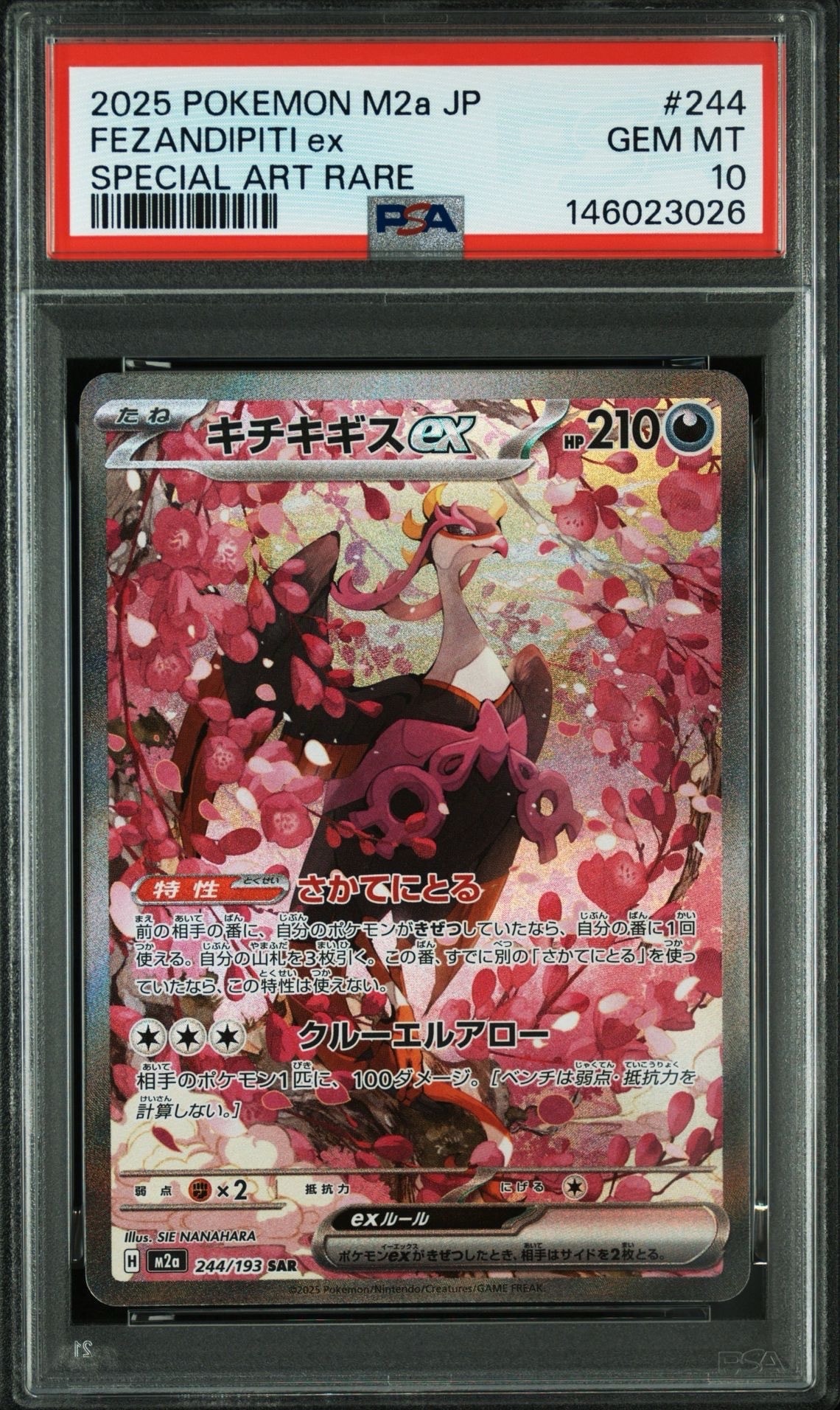 PSA10】キチキギスex SAR [M2a 244/193](ハイクラスパック「MEGA