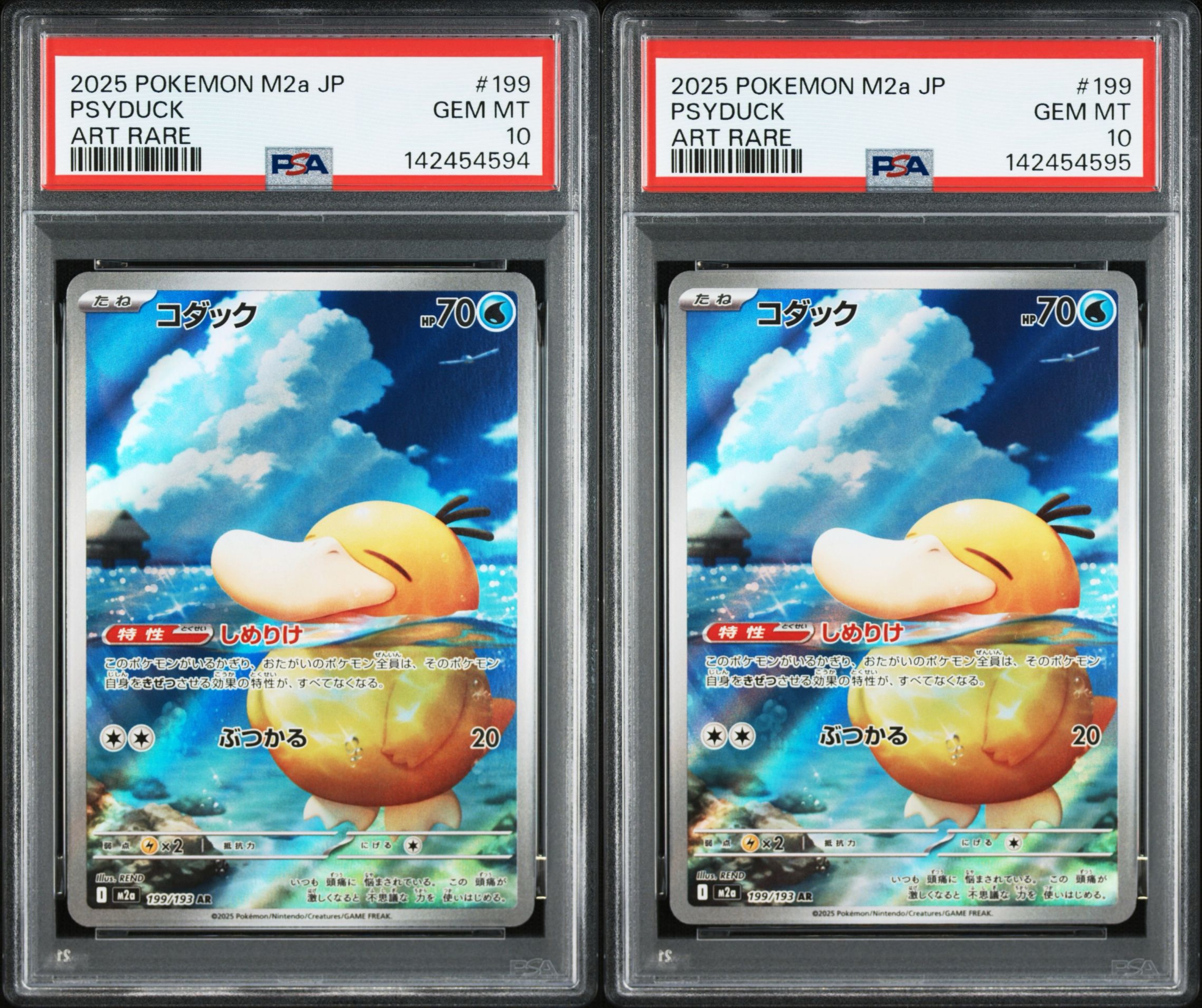 コダック AR [M2a 199/193](ハイクラスパック「MEGAドリームex」)