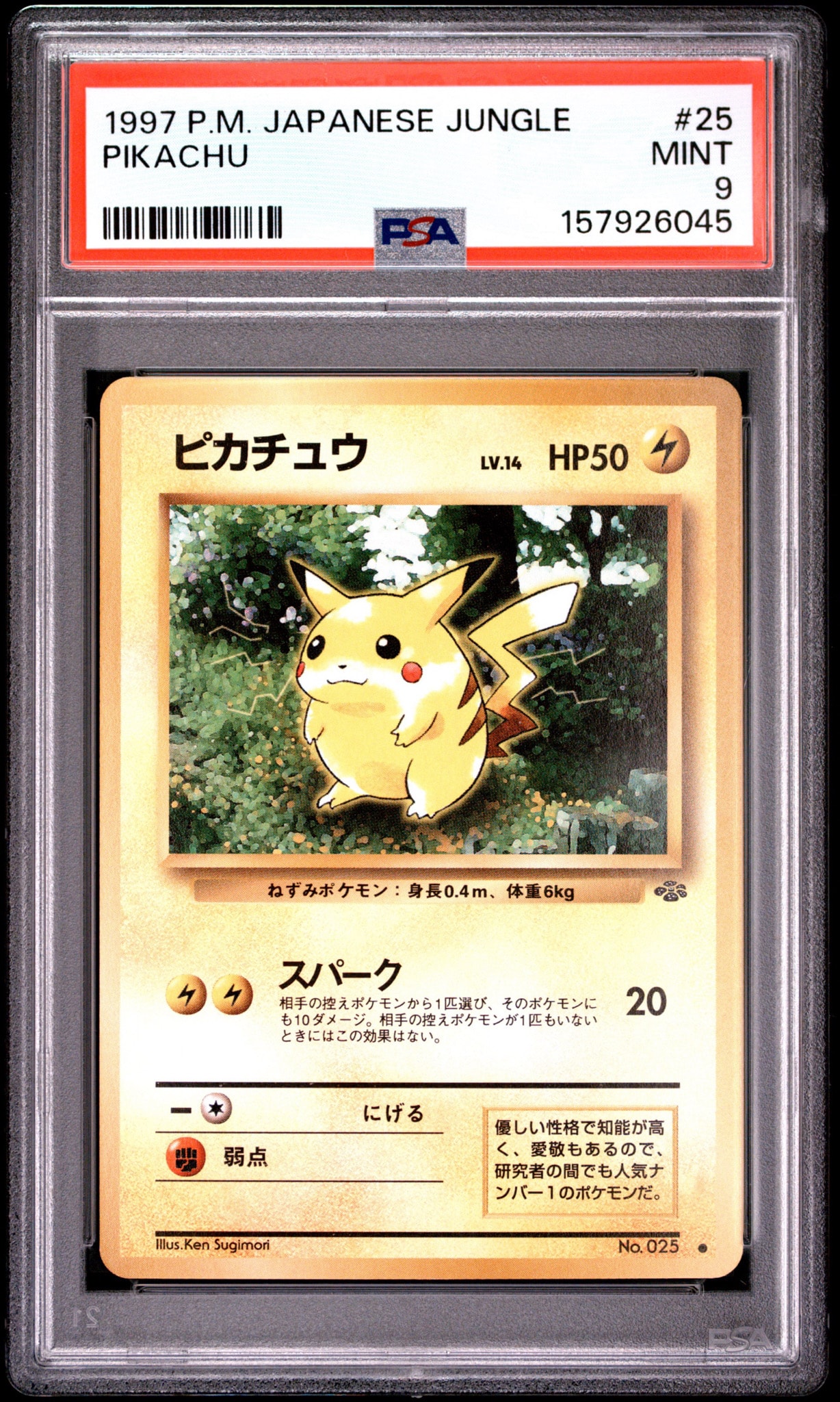 ピカチュウ ○ : 旧裏 [PMCG2 No.025](拡張パック「ポケモンジャングル