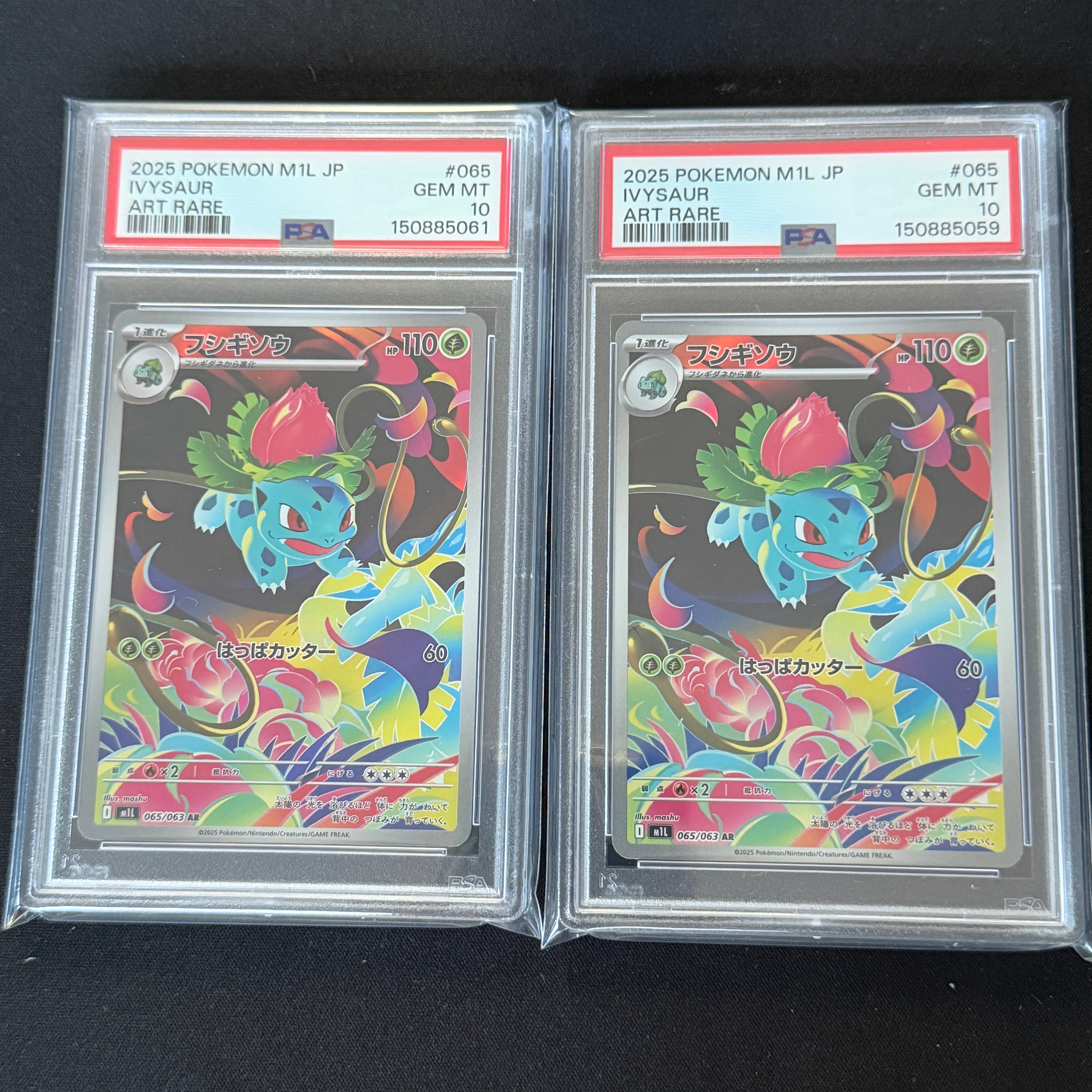 コダック ムンク展: プロモ[286 SM-P](プロモーションカード「SM-P