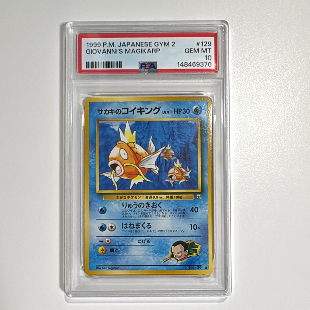 7923009.jpeg?size=m