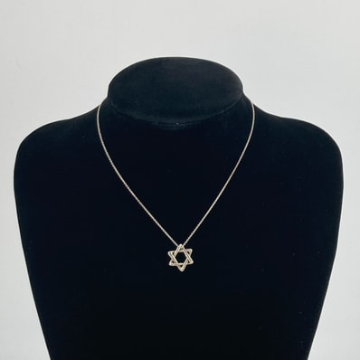 TIFFANY&CO(ティファニー) ティファニー スターオブダビデ ネックレス Ag925 シルバー