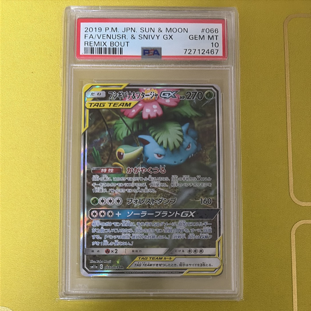 Venusaur & Snivy GX SR: SA[SM11a 066/064](Enhanced Expansion Pack "Remix Bout")