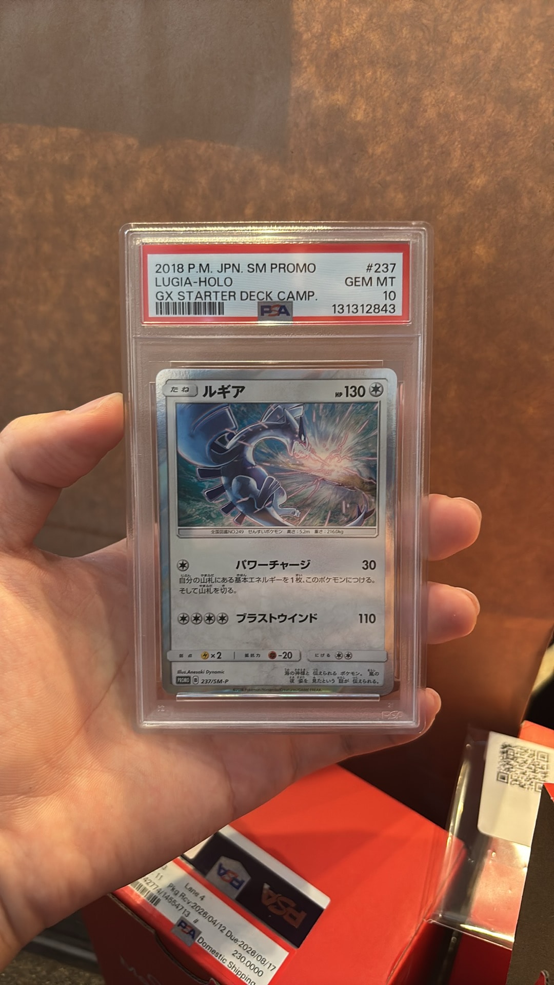 Lugia P [SM-P 237](GX Start Deck "W Lugia Campaign")