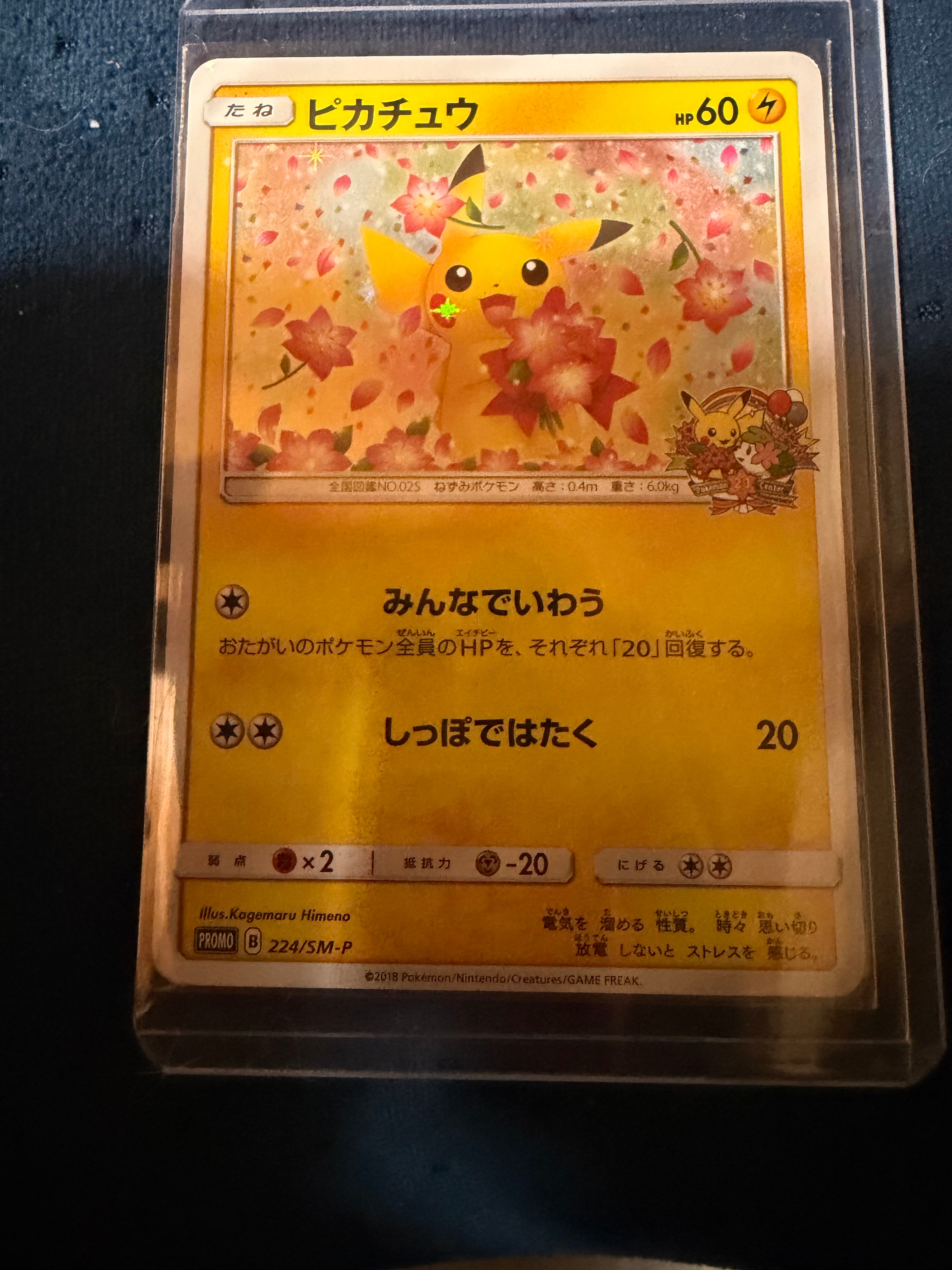 ピカチュウ: プロモ[SM-P 224](プロモーションカード「SM-P」)の新品