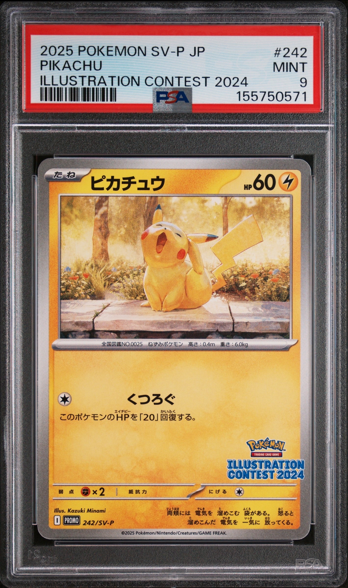 ヒロシマのピカチュウ P [SV-P 261](スペシャルBOX「ポケモンセンター