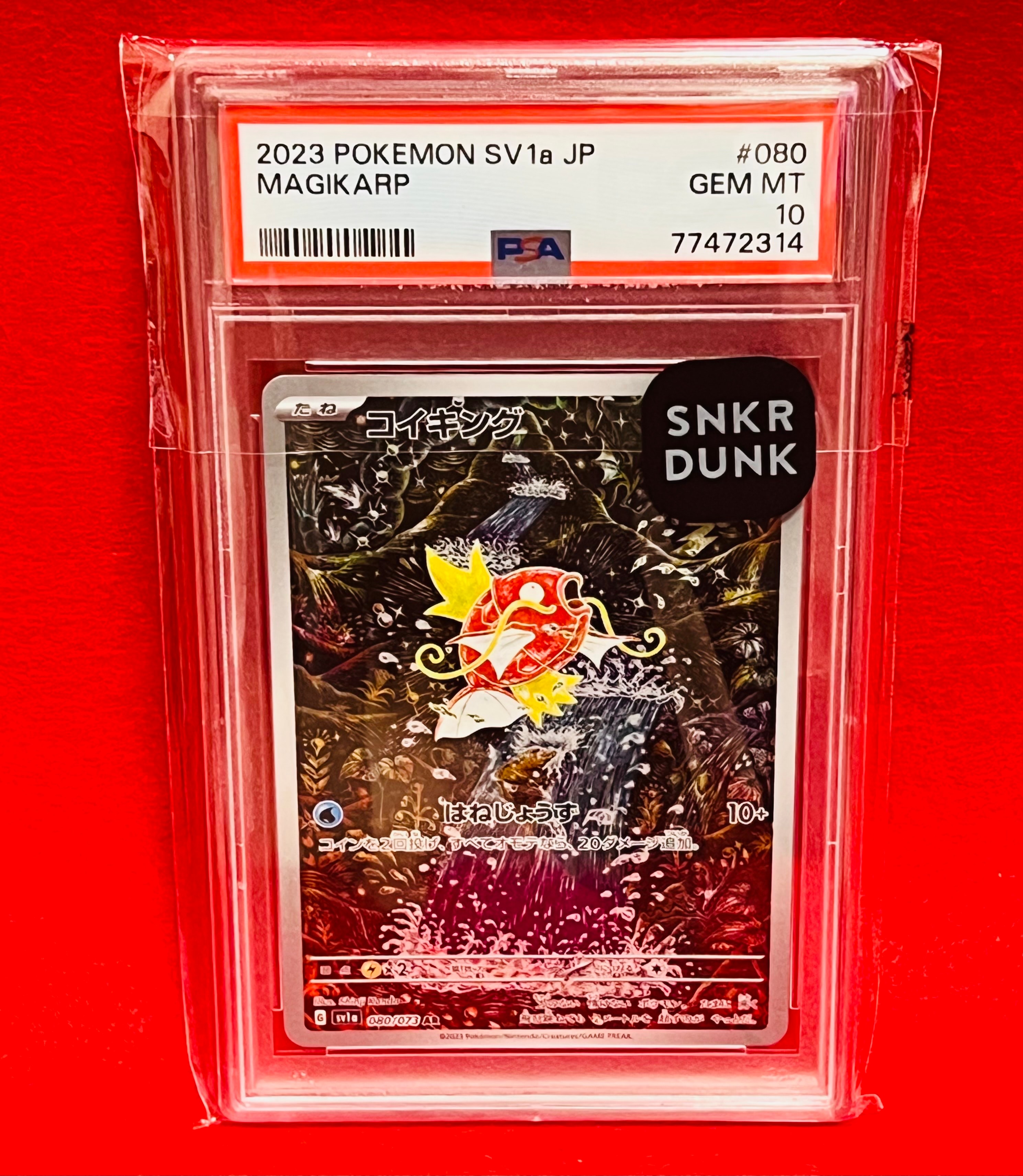 コイキング AR[SV1a 080/073](スカーレット&バイオレット 拡張パック「トリプレットビート」)