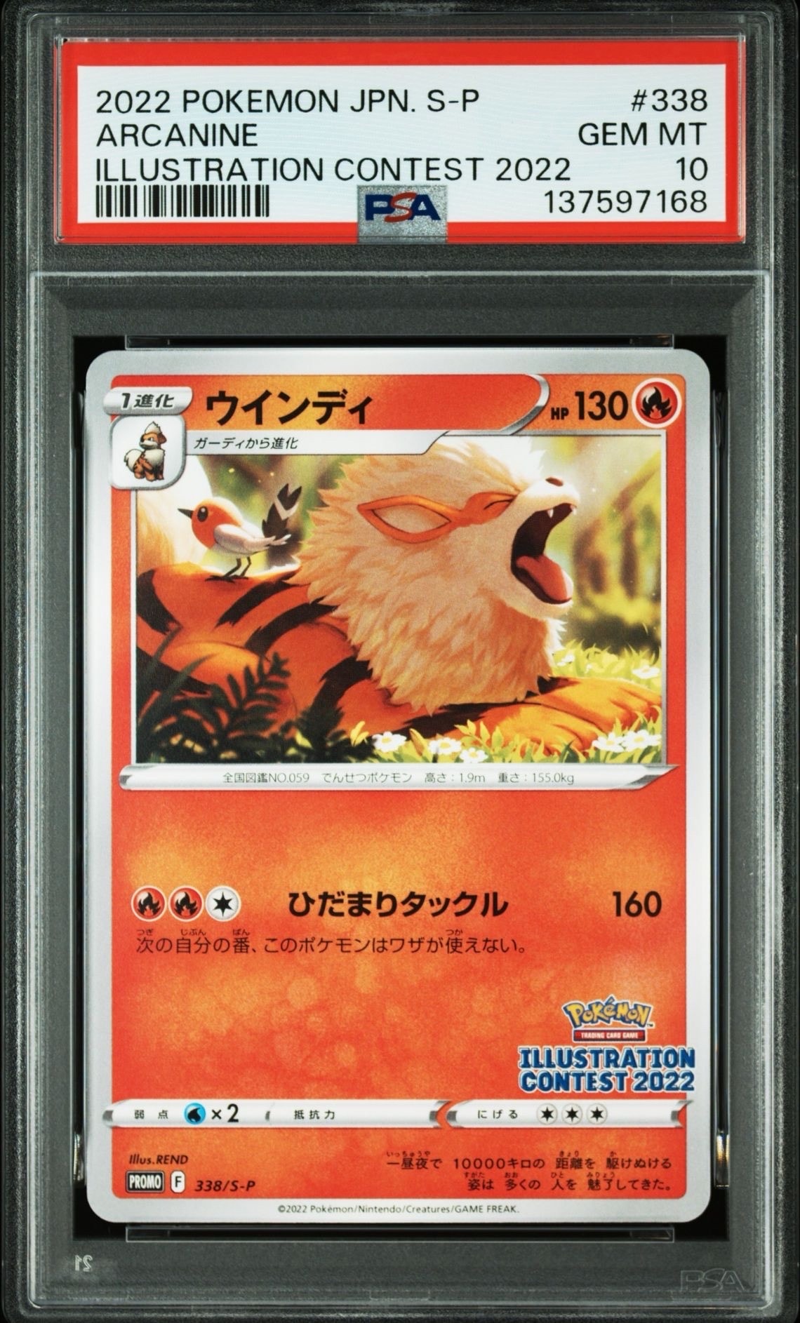 ウインディ プロモ[PROMO338 S-P](プロモーションカード「ポケモンセンター・ポケモンストア・ポケモンセンターオンライン2000円以上購入特典」)