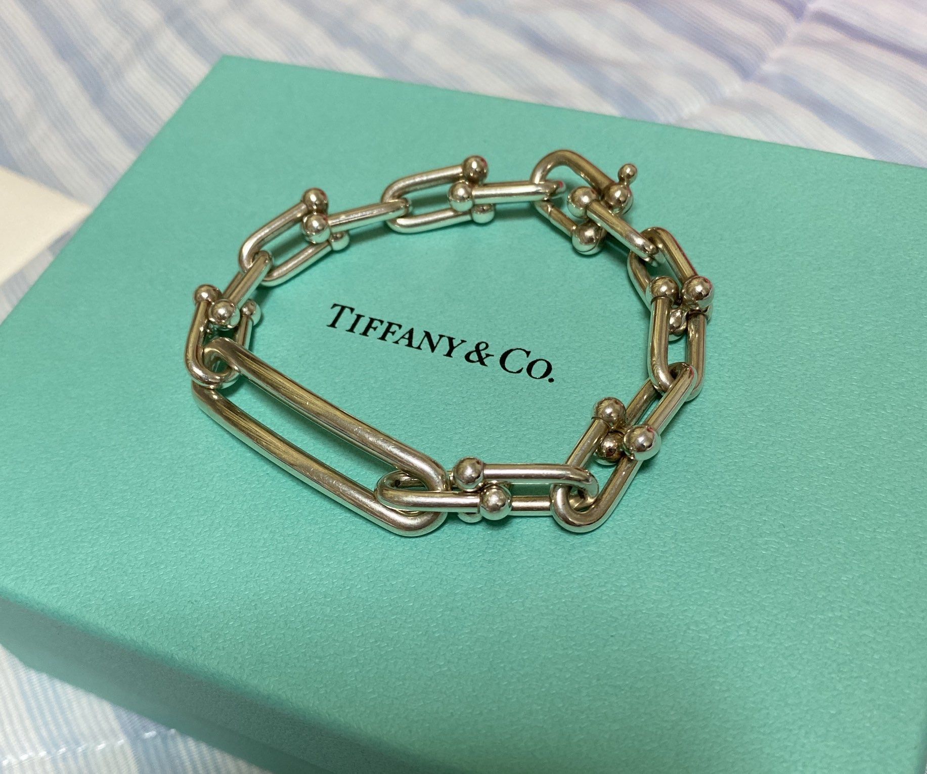 Tiffany & Co. HardWear Link Bracelet in Sterling Silver