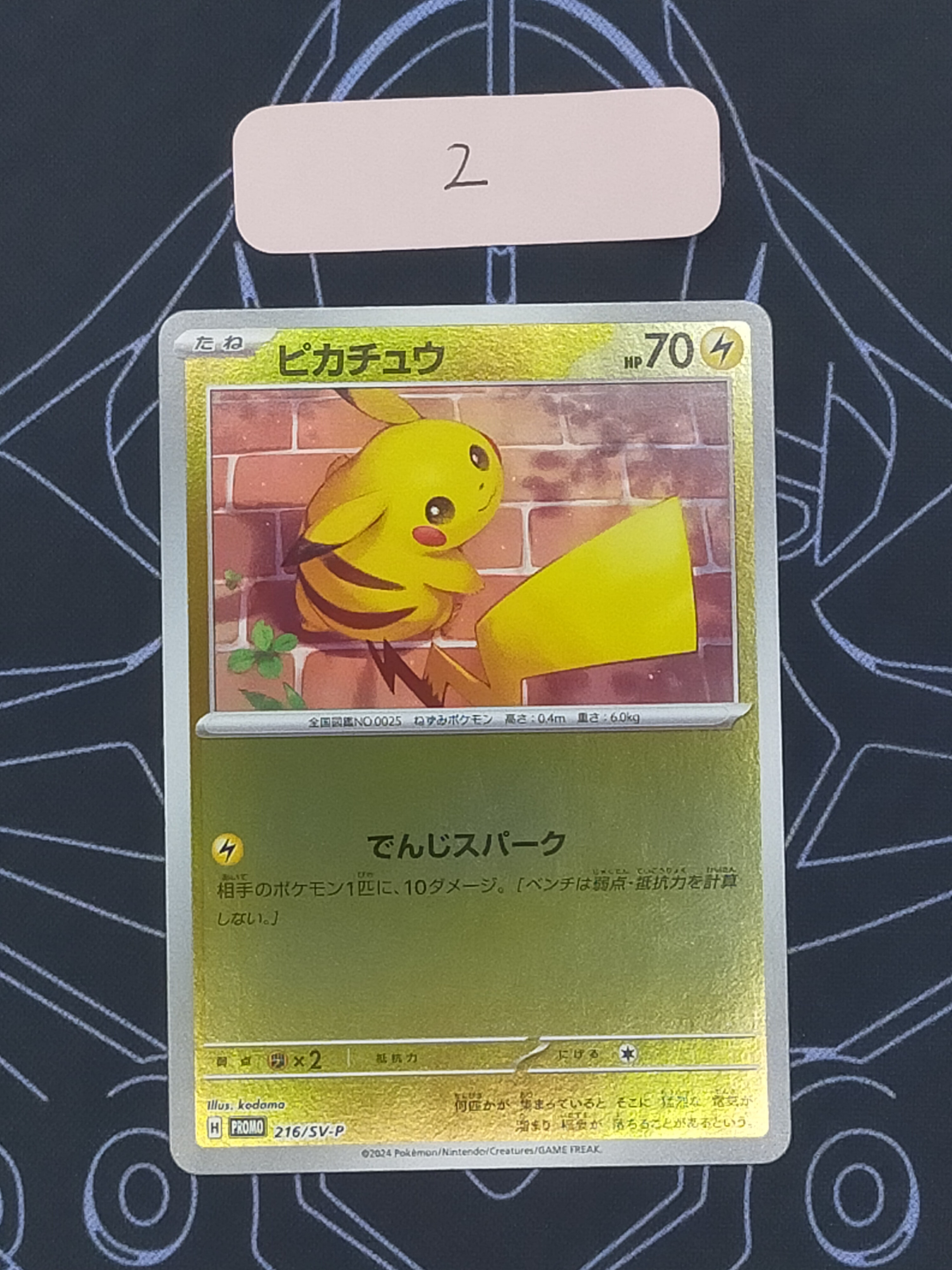 ピカチュウ P [SV-P 216](プロモカードパック「ポケカの夏がキタ!プロモカードGetキャンペーン!」)