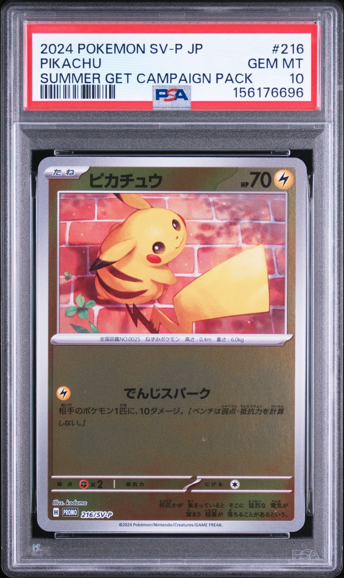 PSA10ピカチュウ ポケカの夏がキタ！プロモカード PSA10】ピカチュウ P [SV-P 216](プロモカードパック「ポケカの夏が